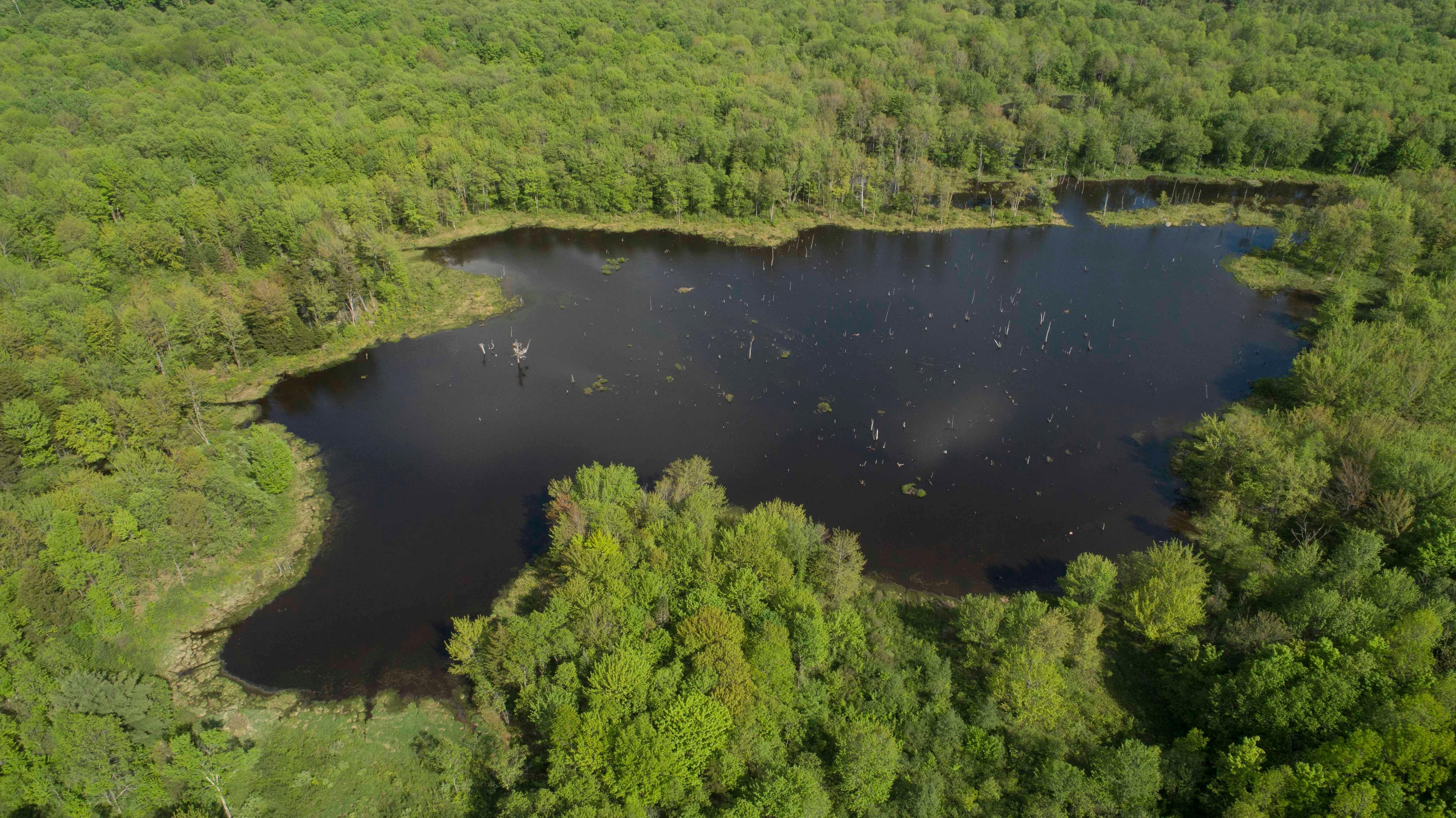 624 acres in Oneida County, New York