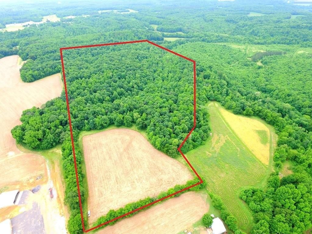 66 acres in Limestone County, Alabama