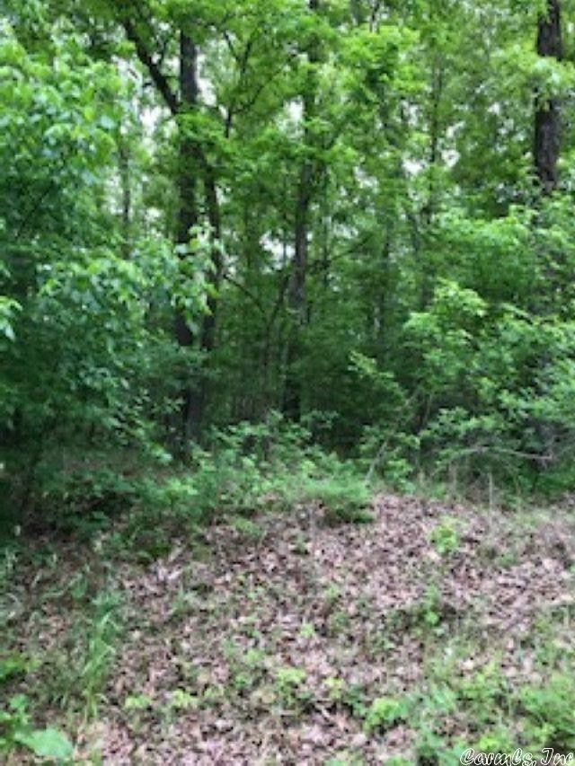 5 acres in Fulton County, Arkansas