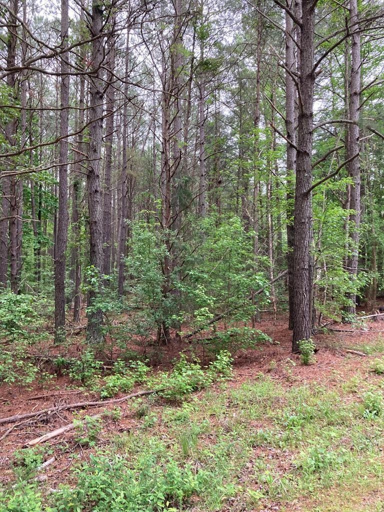 3.62 acres in Northumberland County, Virginia