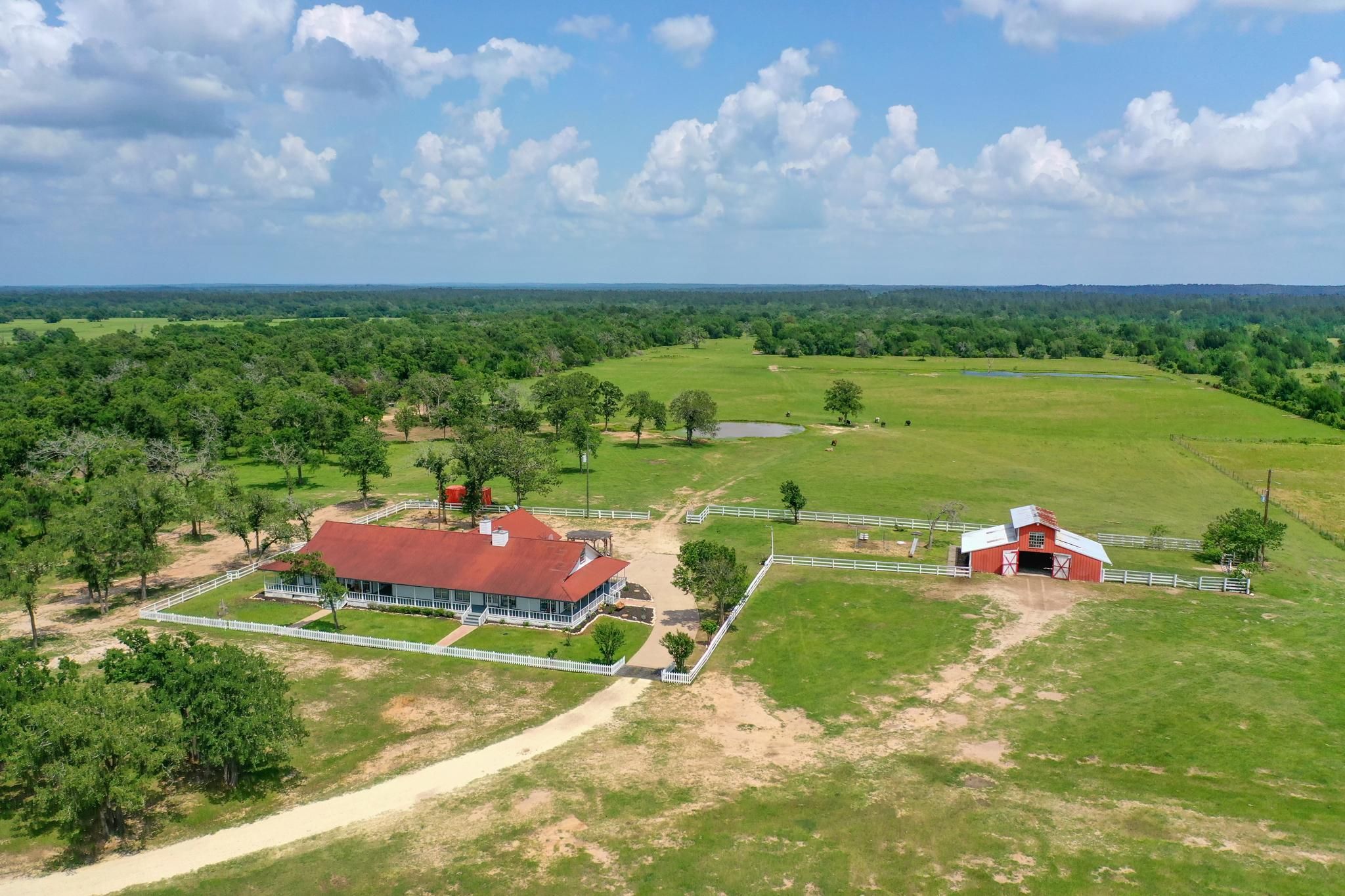 232 acres in Grimes County, Texas