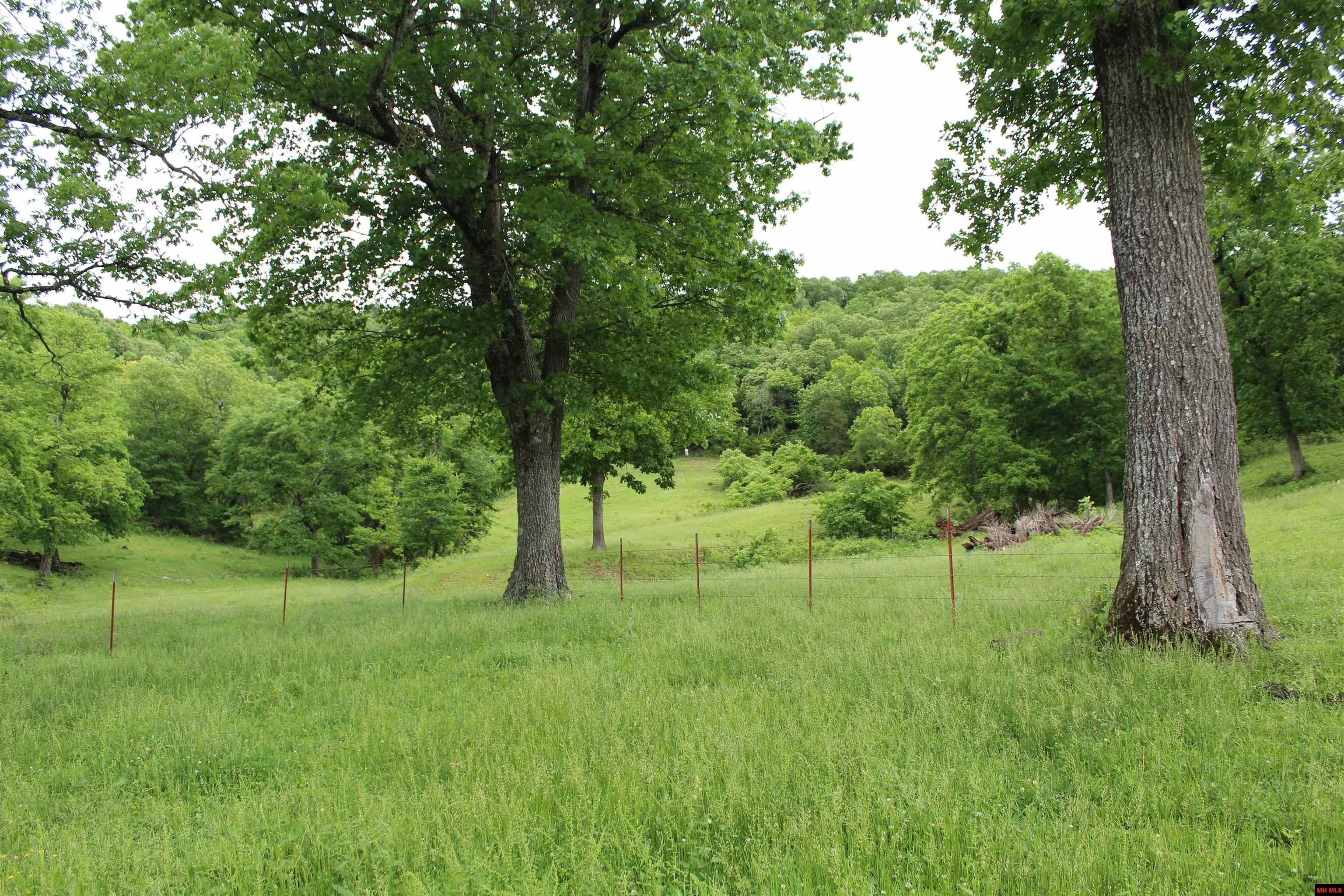 110 acres in Marion County, Arkansas