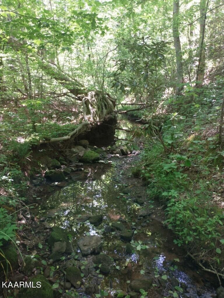 12 acres in Blount County, Tennessee