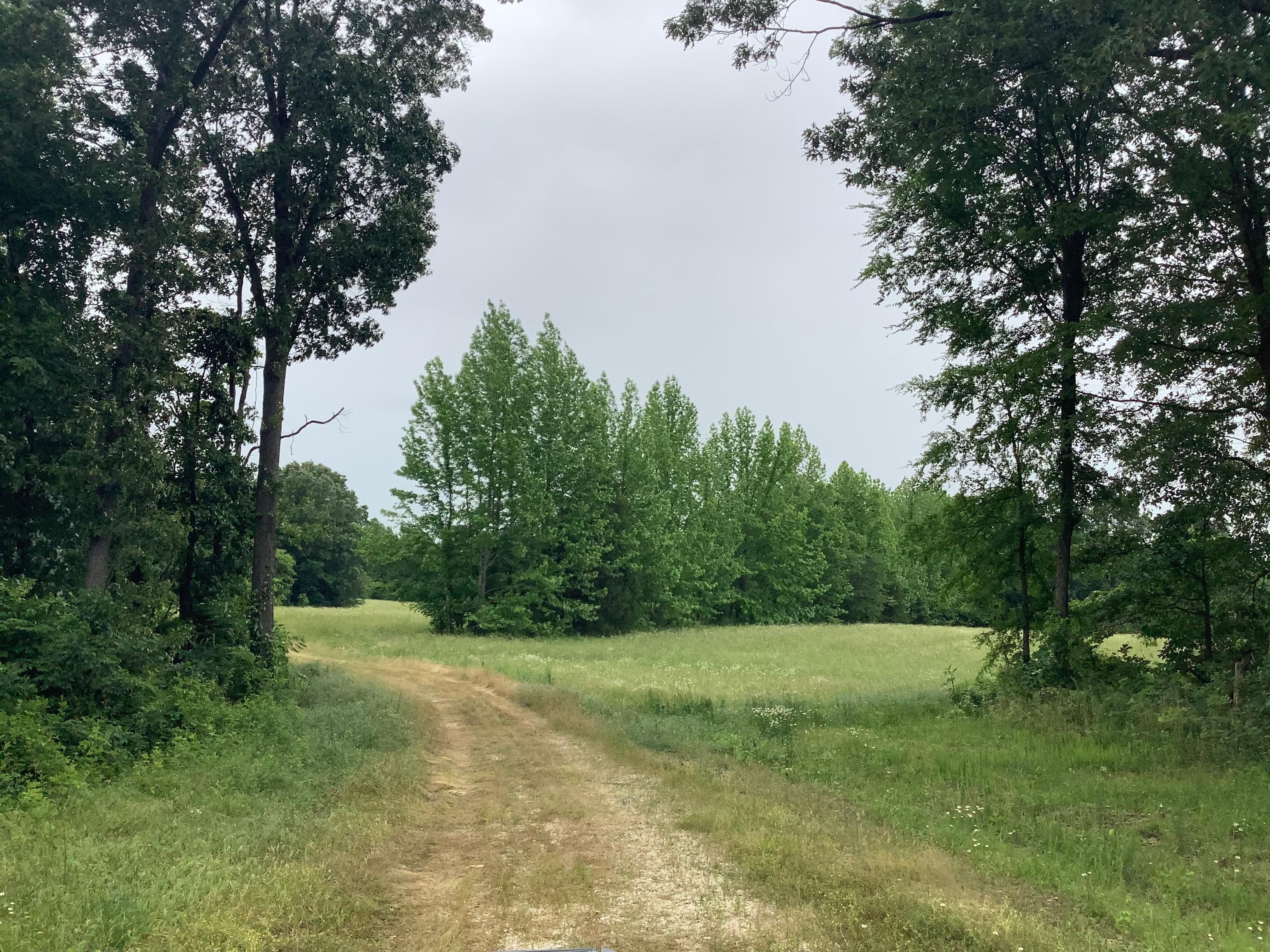 68.4 acres in Carroll County, Tennessee