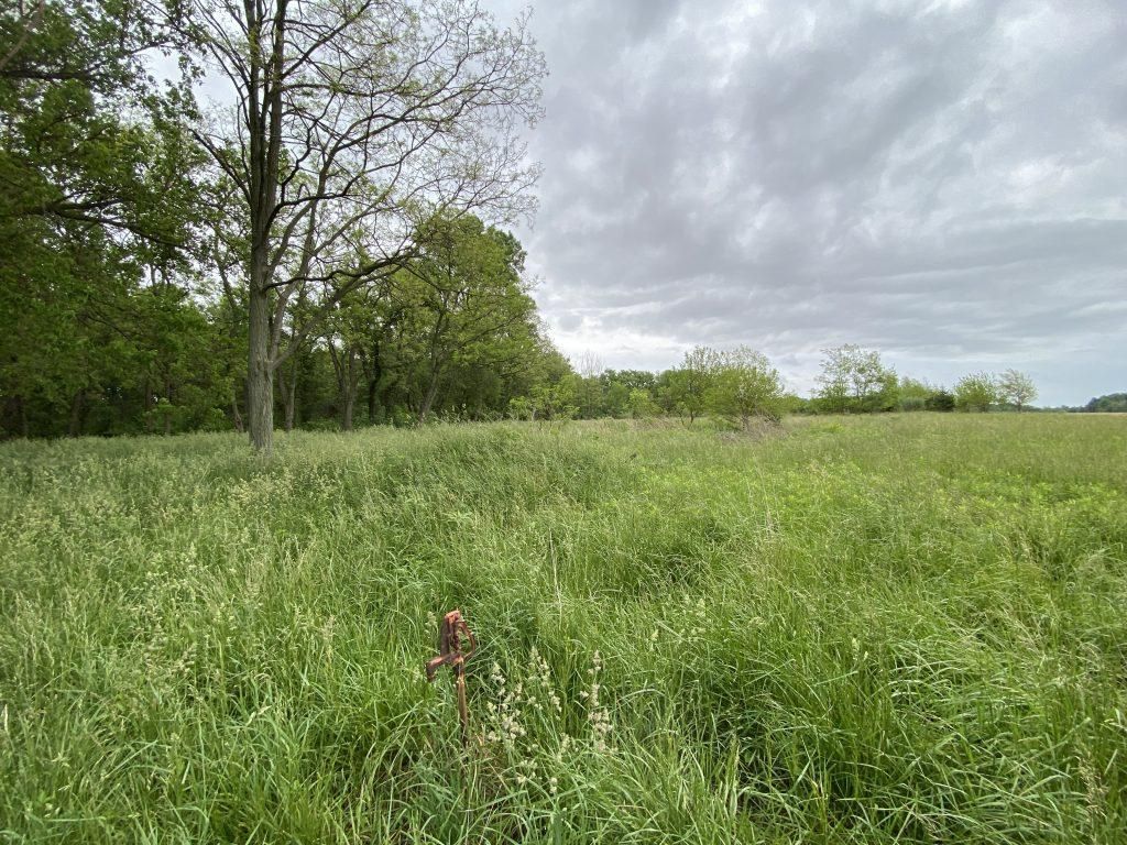 3 acres in Vermillion County, Indiana