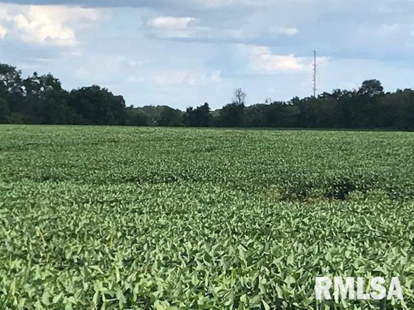 55 acres in Scott County, Iowa