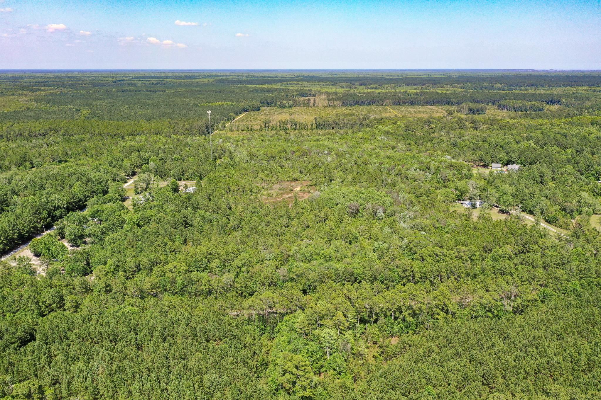 29.4 acres in Glynn County,