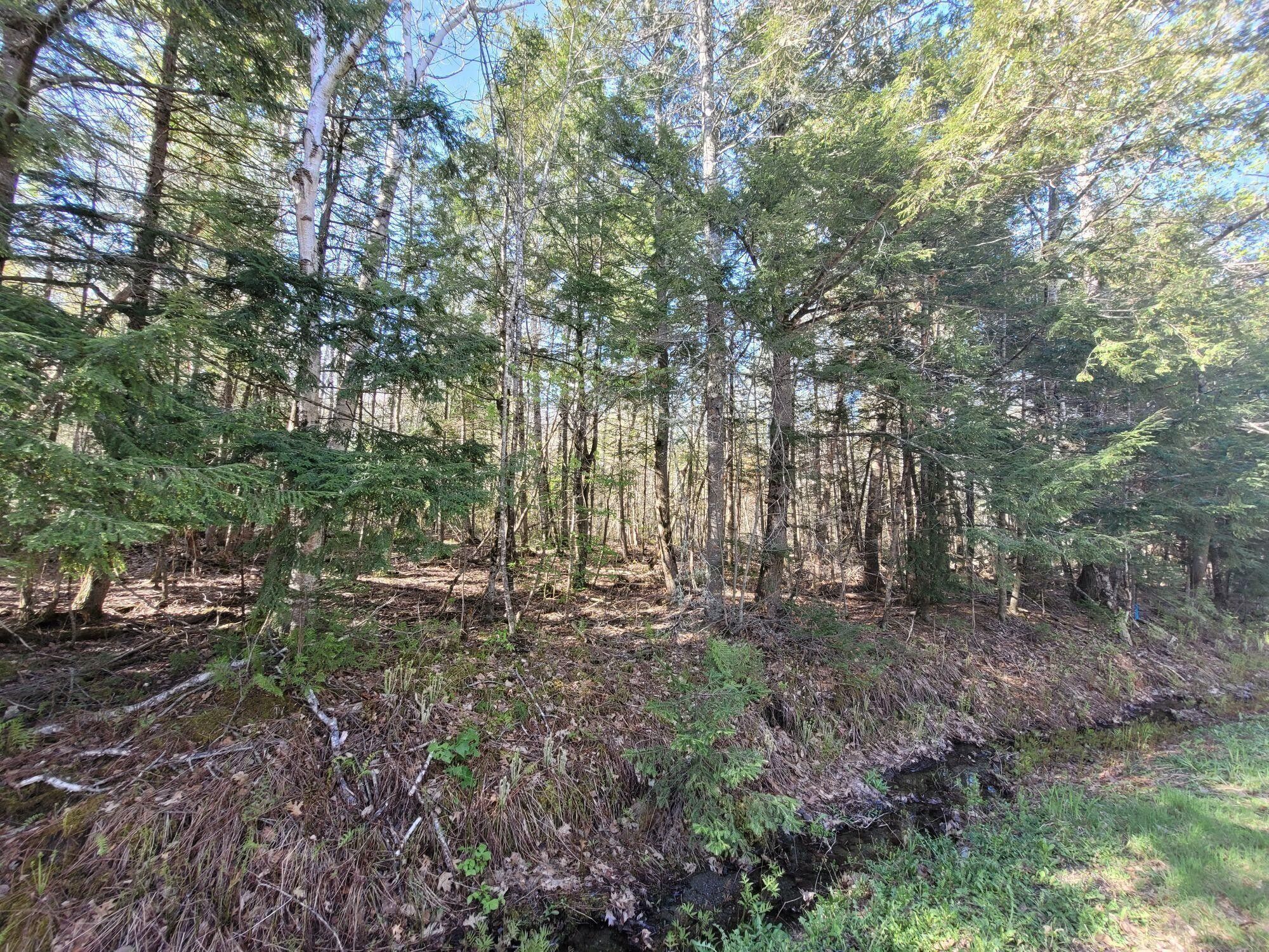 3.8 acres in Penobscot County, Maine