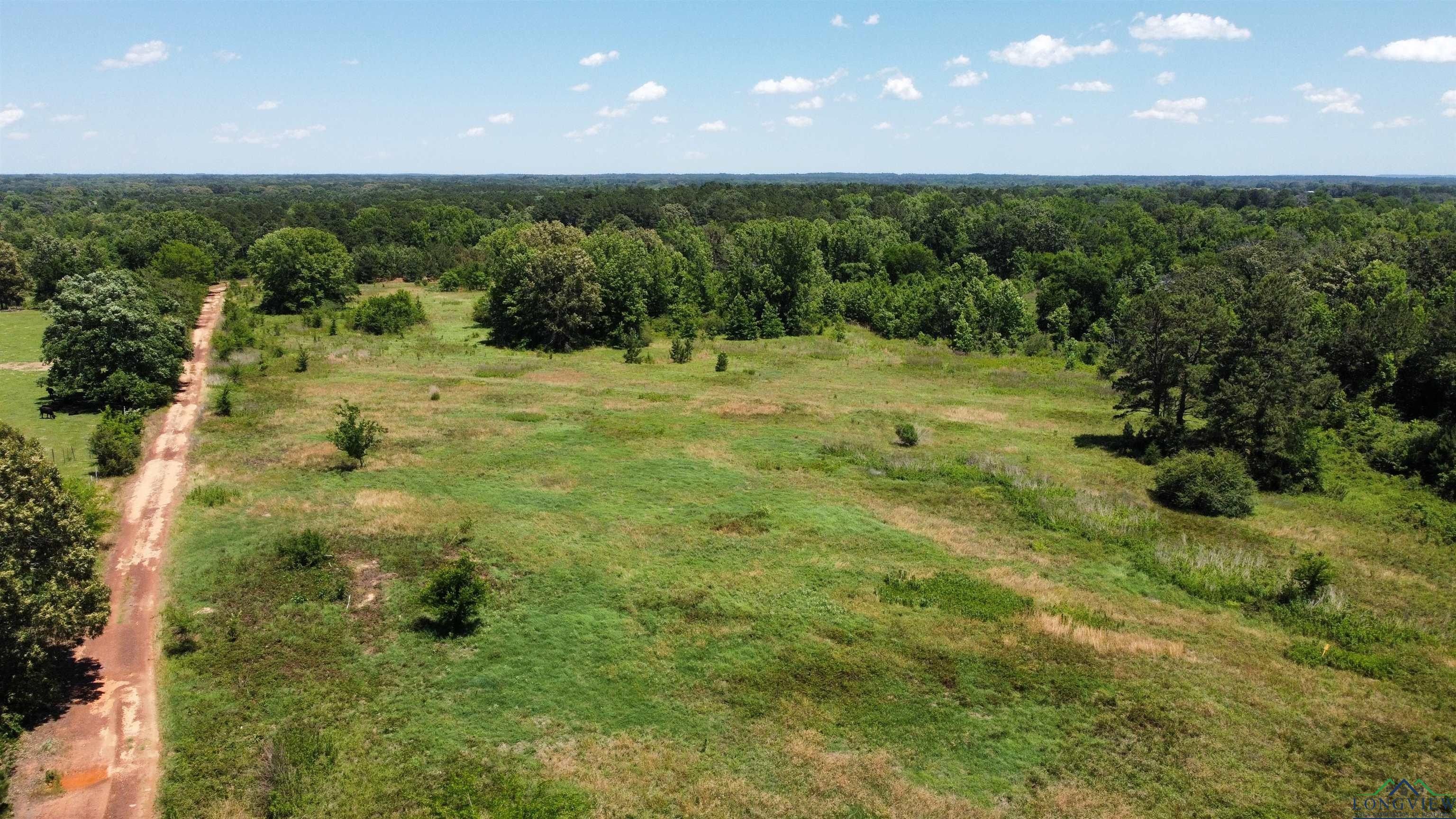 49 acres in Rusk County, Texas