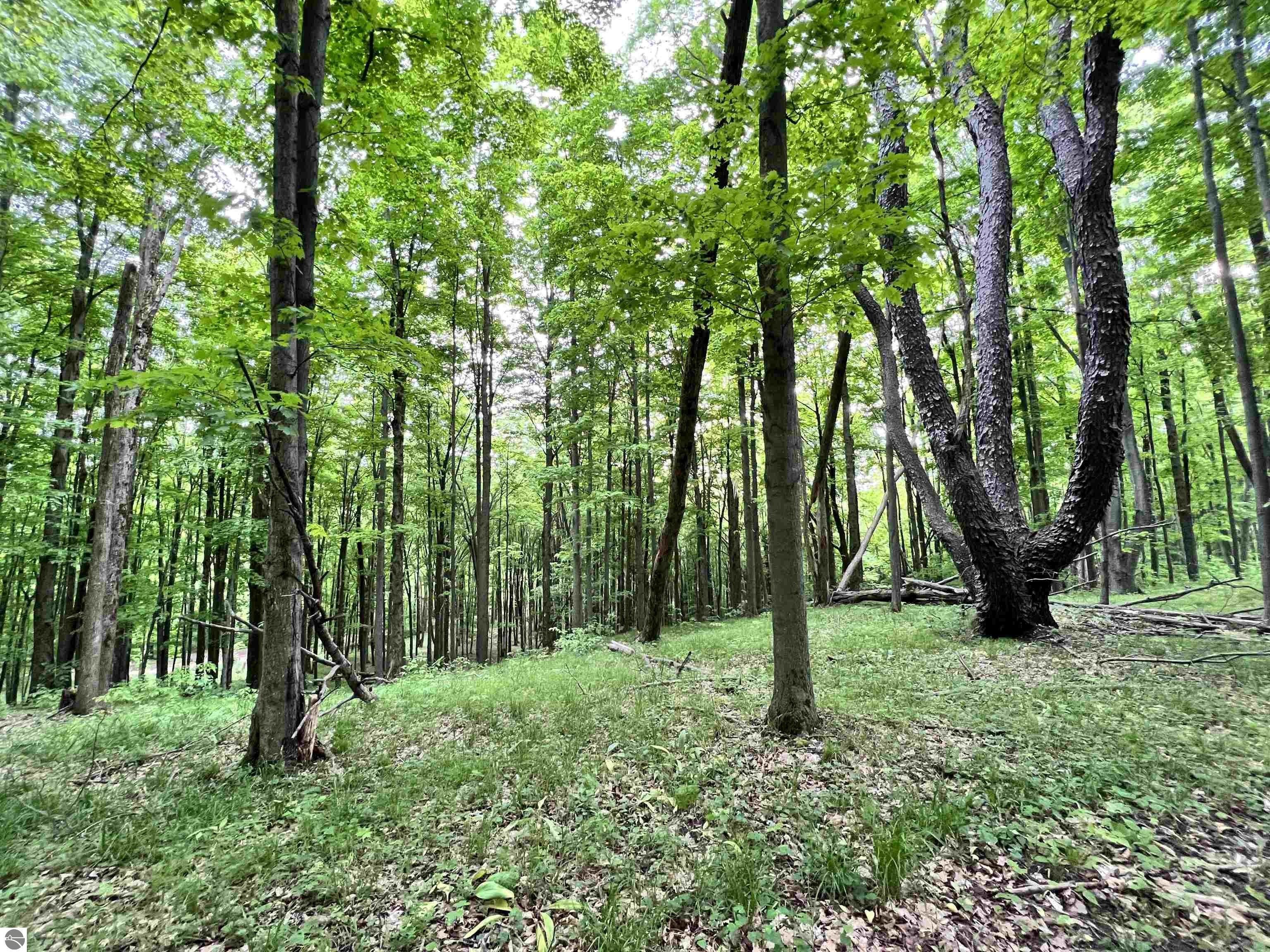 10 acres in Lake County, Michigan