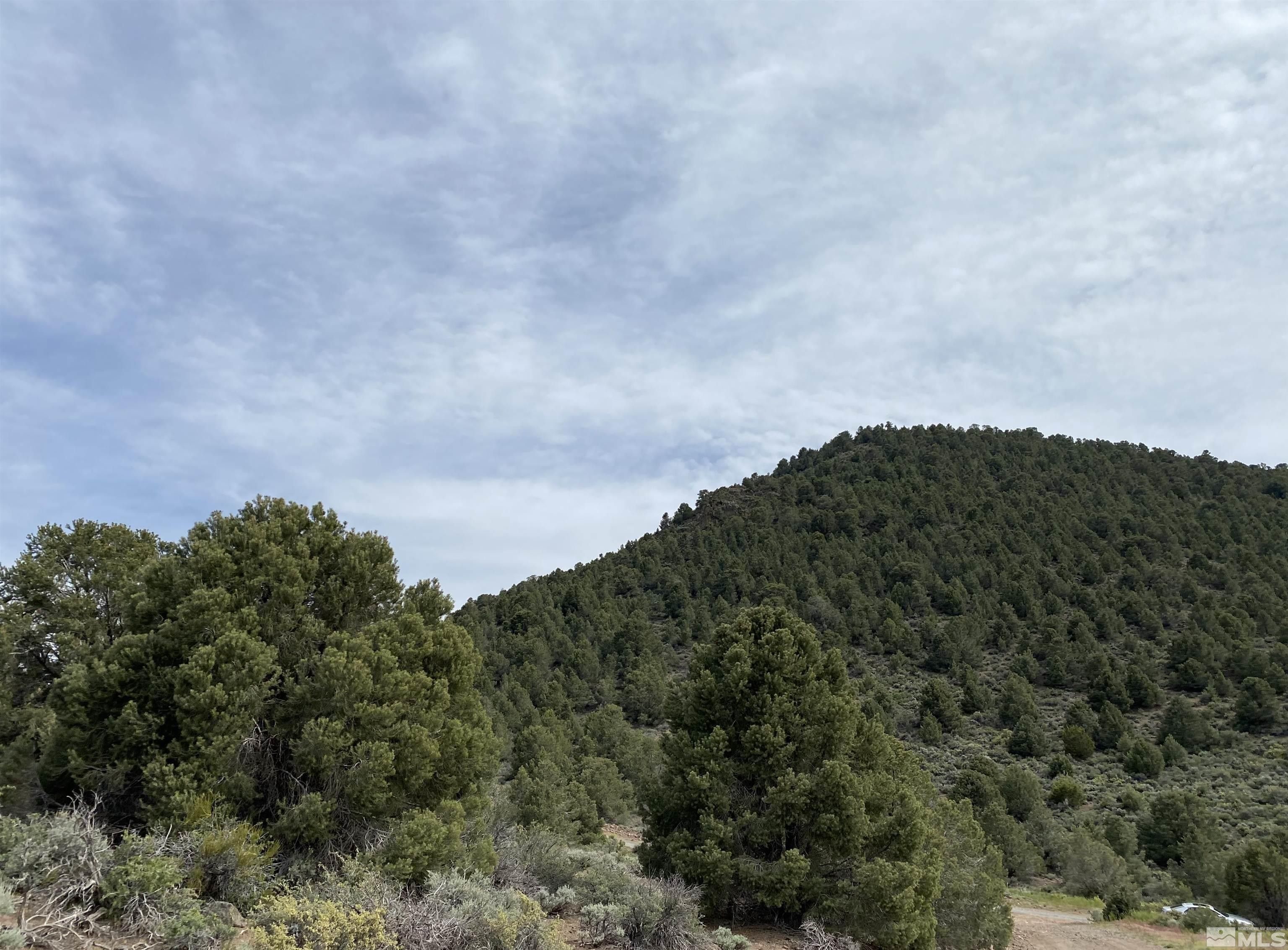 40 acres in Storey County, Nevada