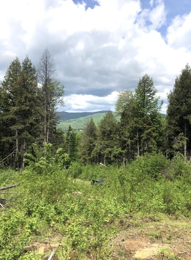8 acres in Windham County, Vermont