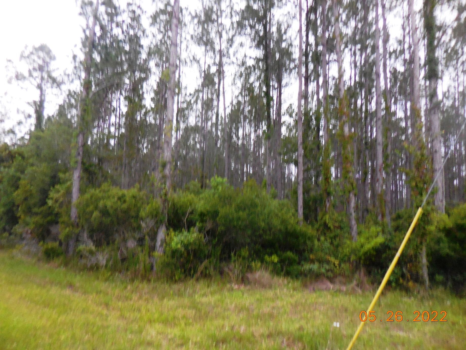 20 Acres In Levy County Florida 1857