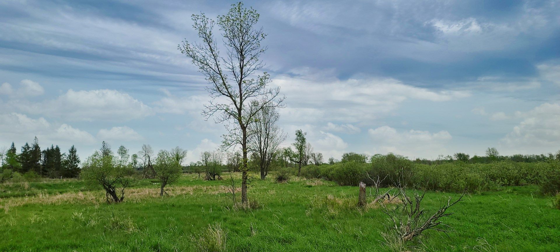 40 acres in Outagamie County, Wisconsin