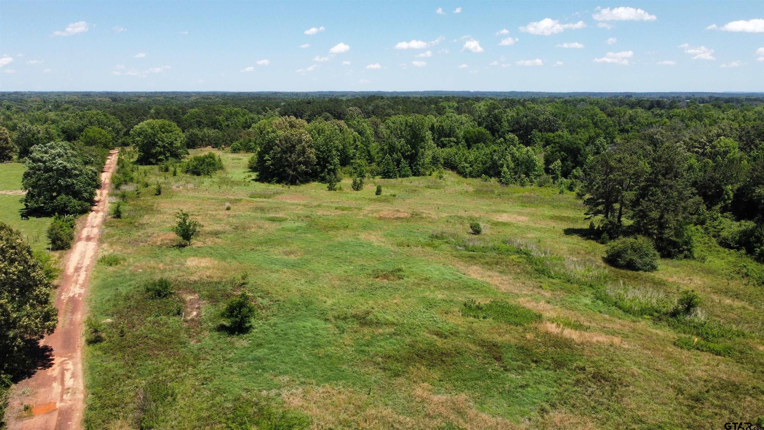 49 acres in Rusk County, Texas