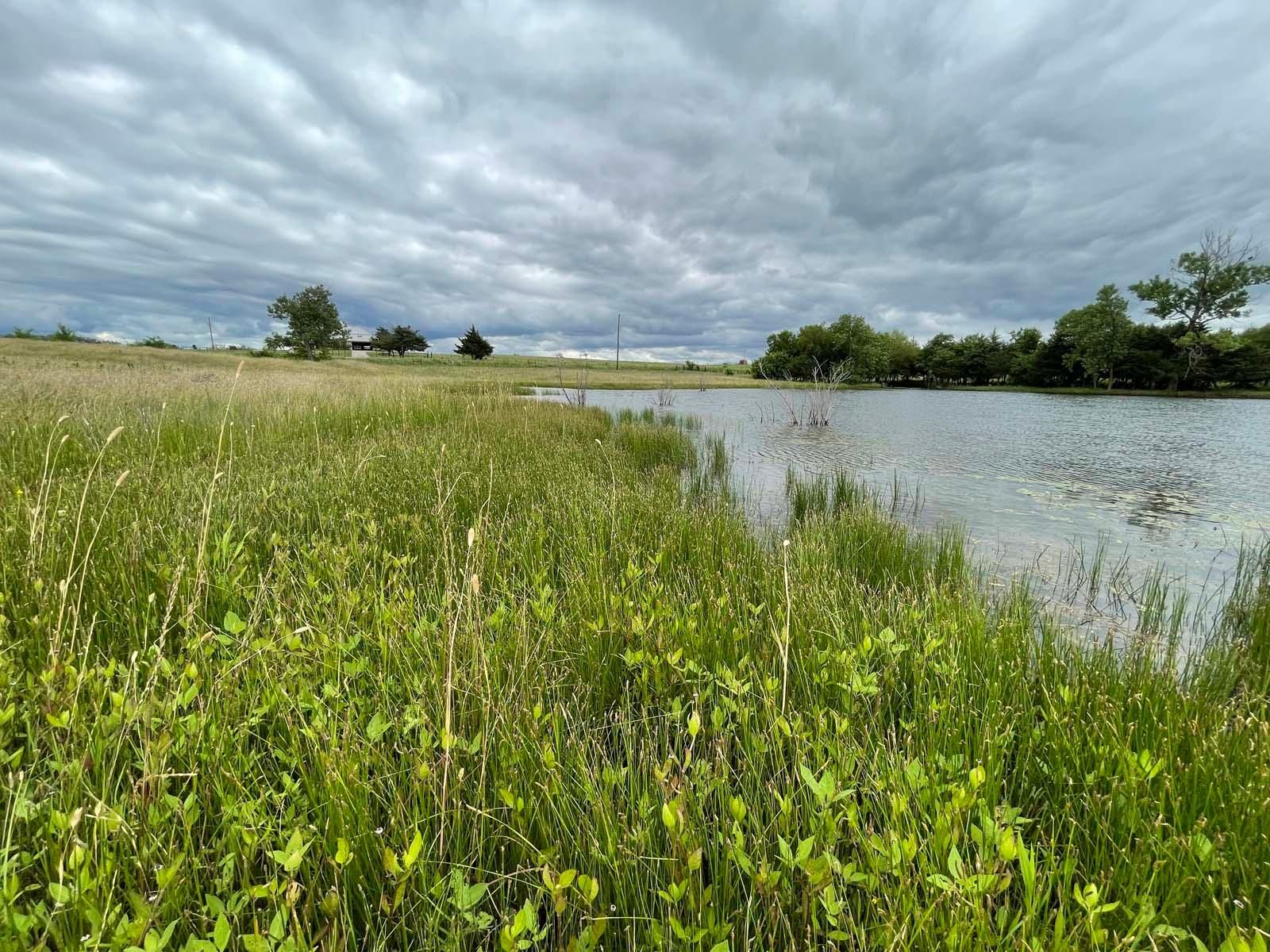 30 acres in Collin County, Texas