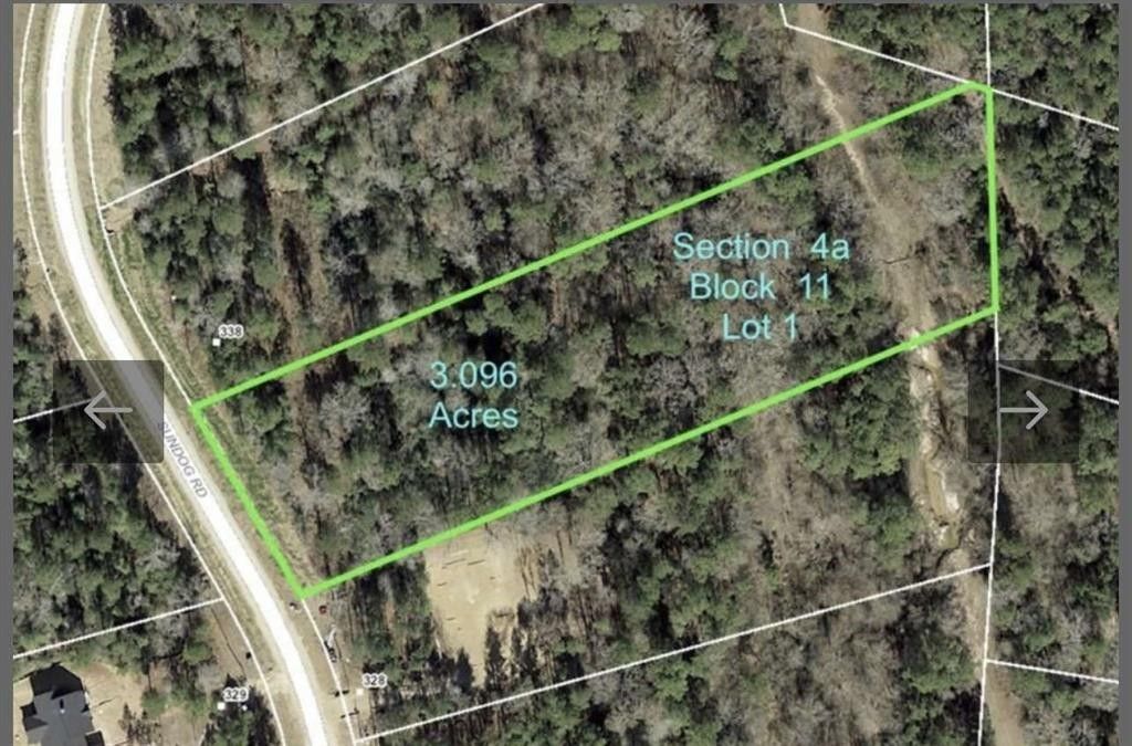 3.1 acres in Walker County, Texas