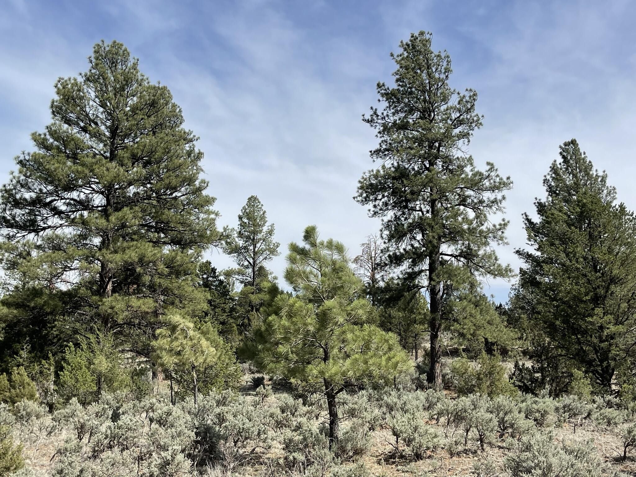 5 acres in McKinley County, New Mexico