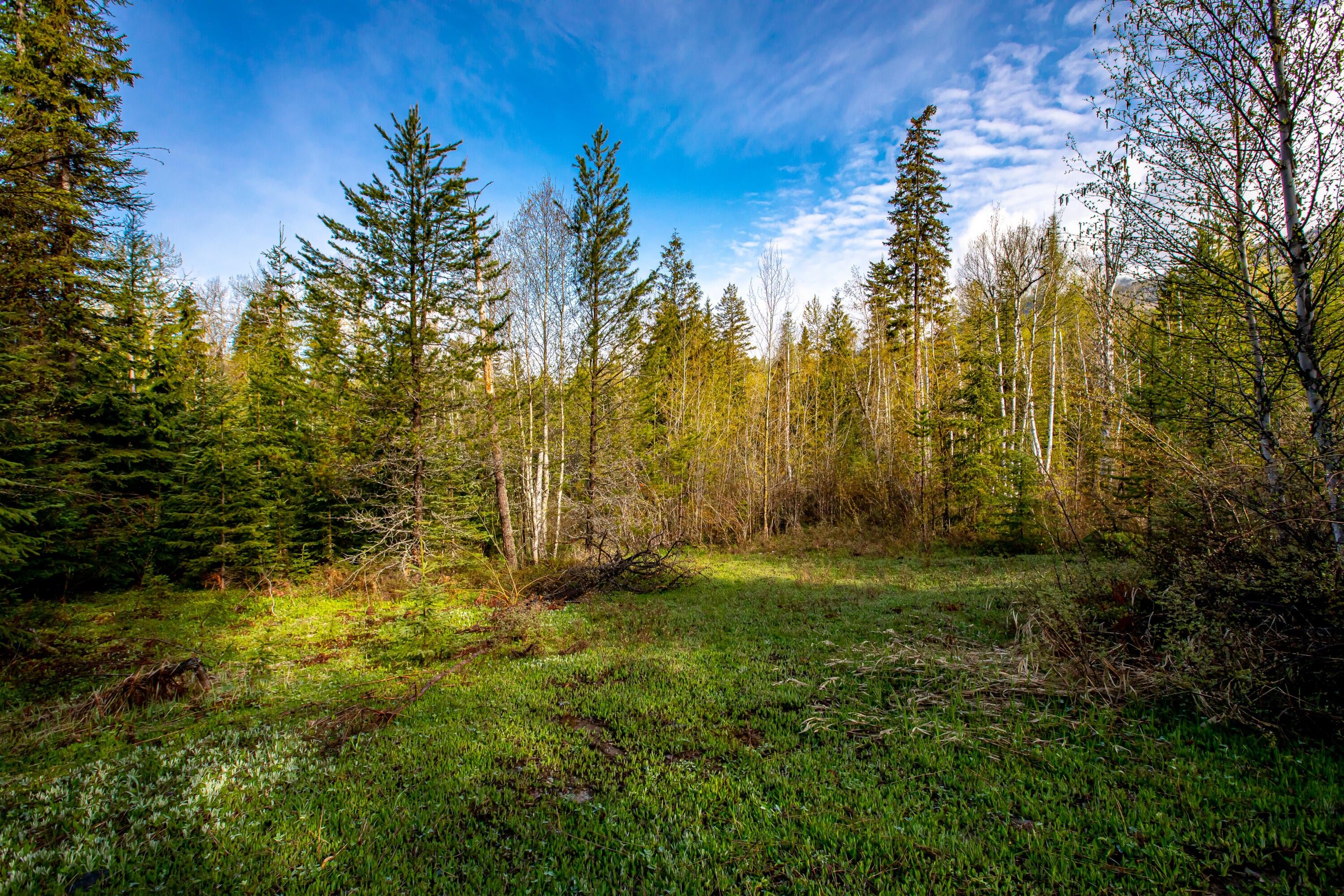 20 acres in Flathead County, Montana