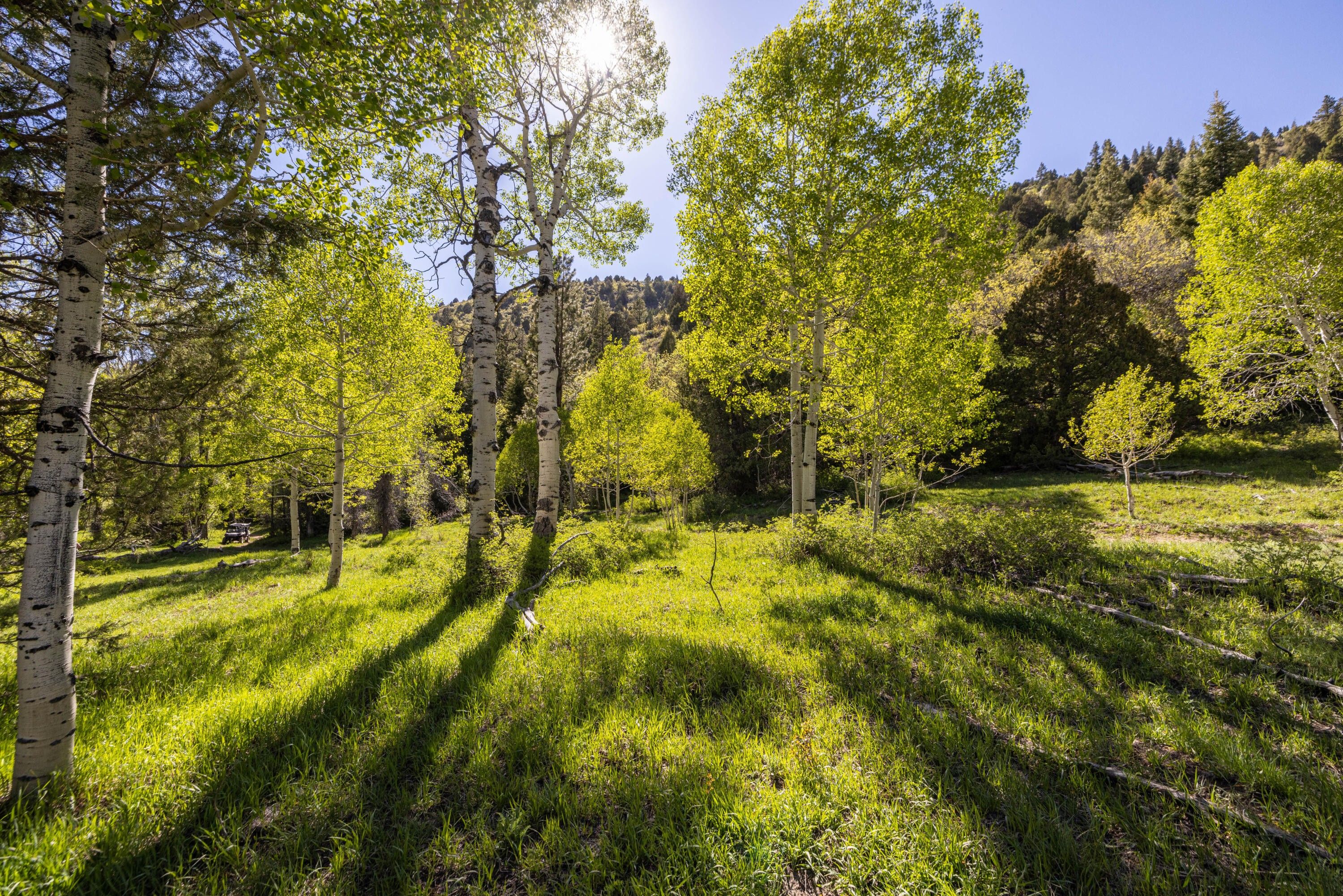 1,687 acres in Kane County, Utah