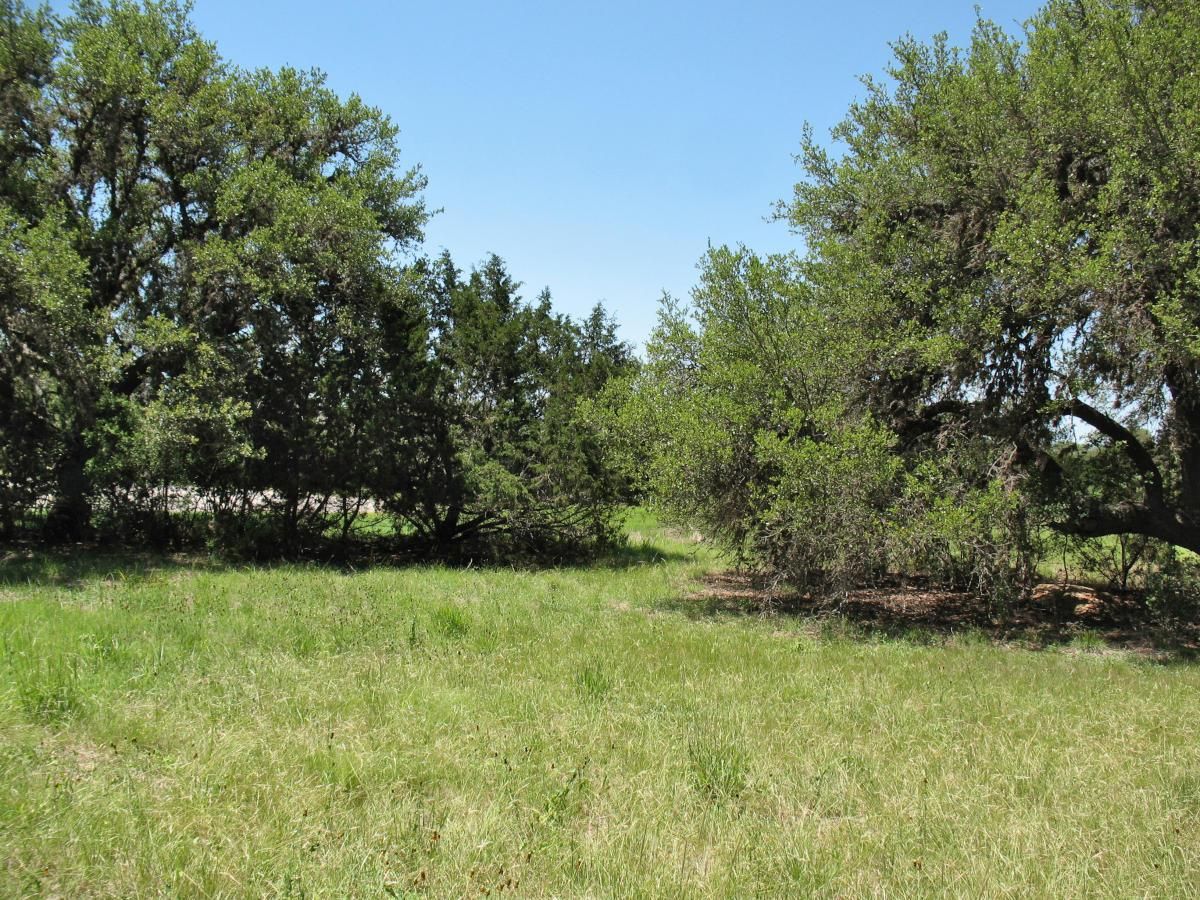 Appaloosa Hollow, Bandera, TX 78003