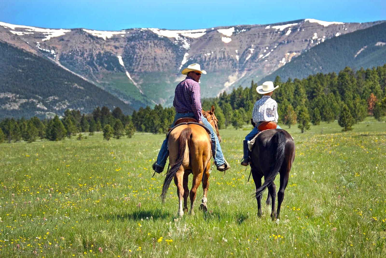 Little Careless Creek Rd, Judith Gap, MT 59453