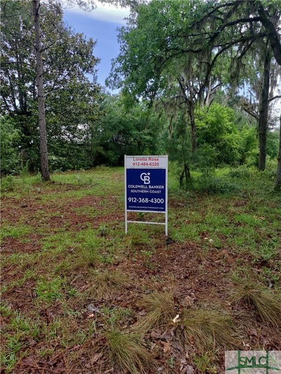 3.5 acres in Tattnall County,