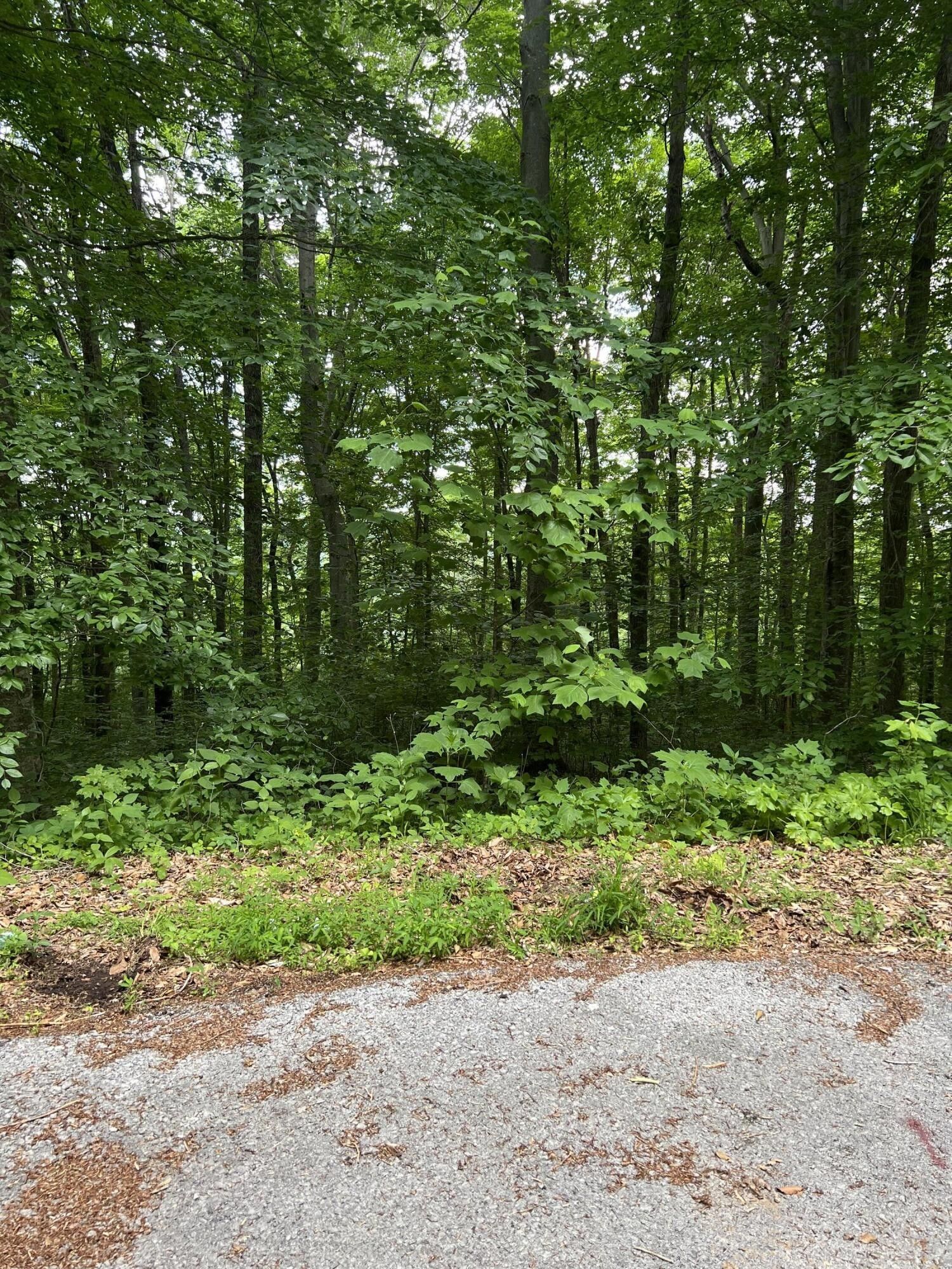 5.73 acres in Wayne County, Kentucky