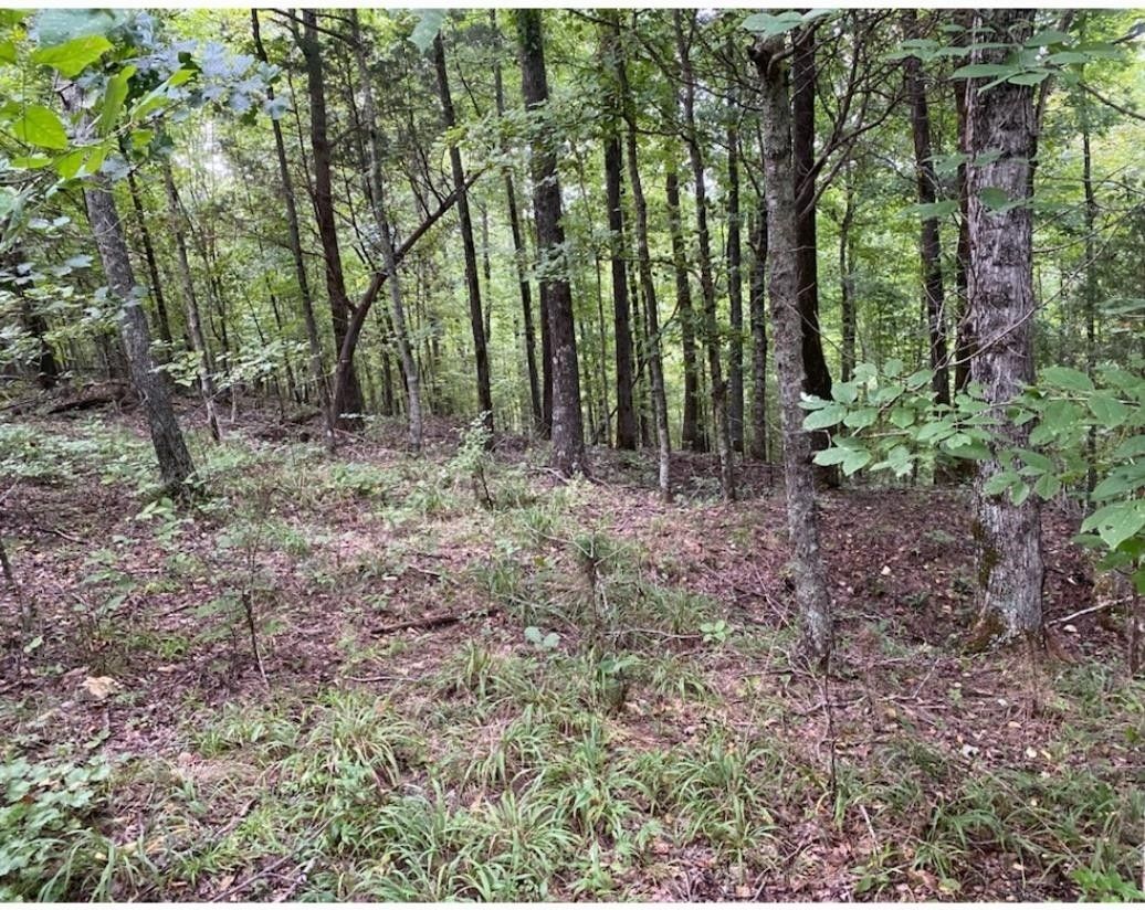 112 acres in Wayne County, Tennessee