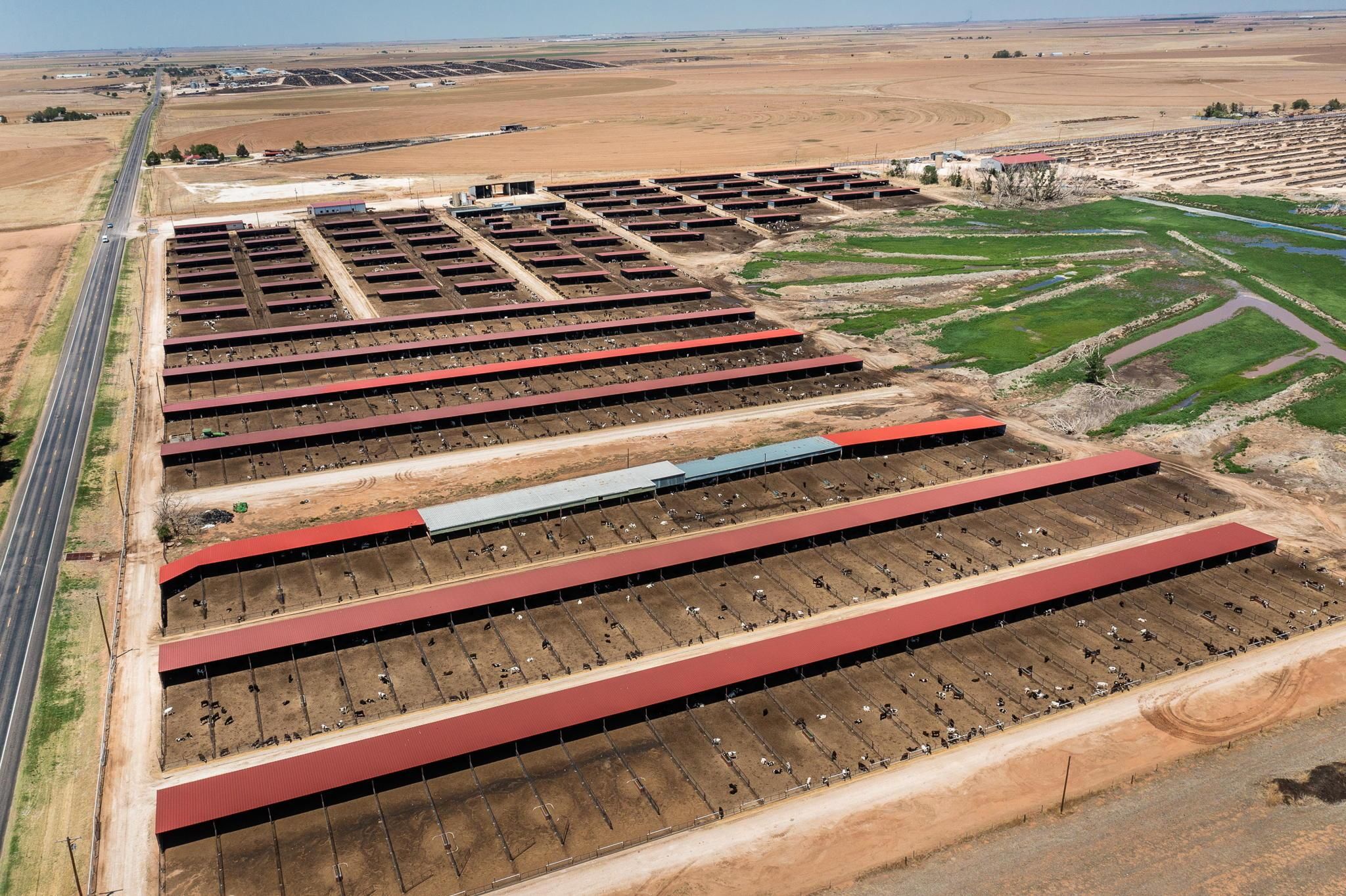 770 acres in Castro County, Texas