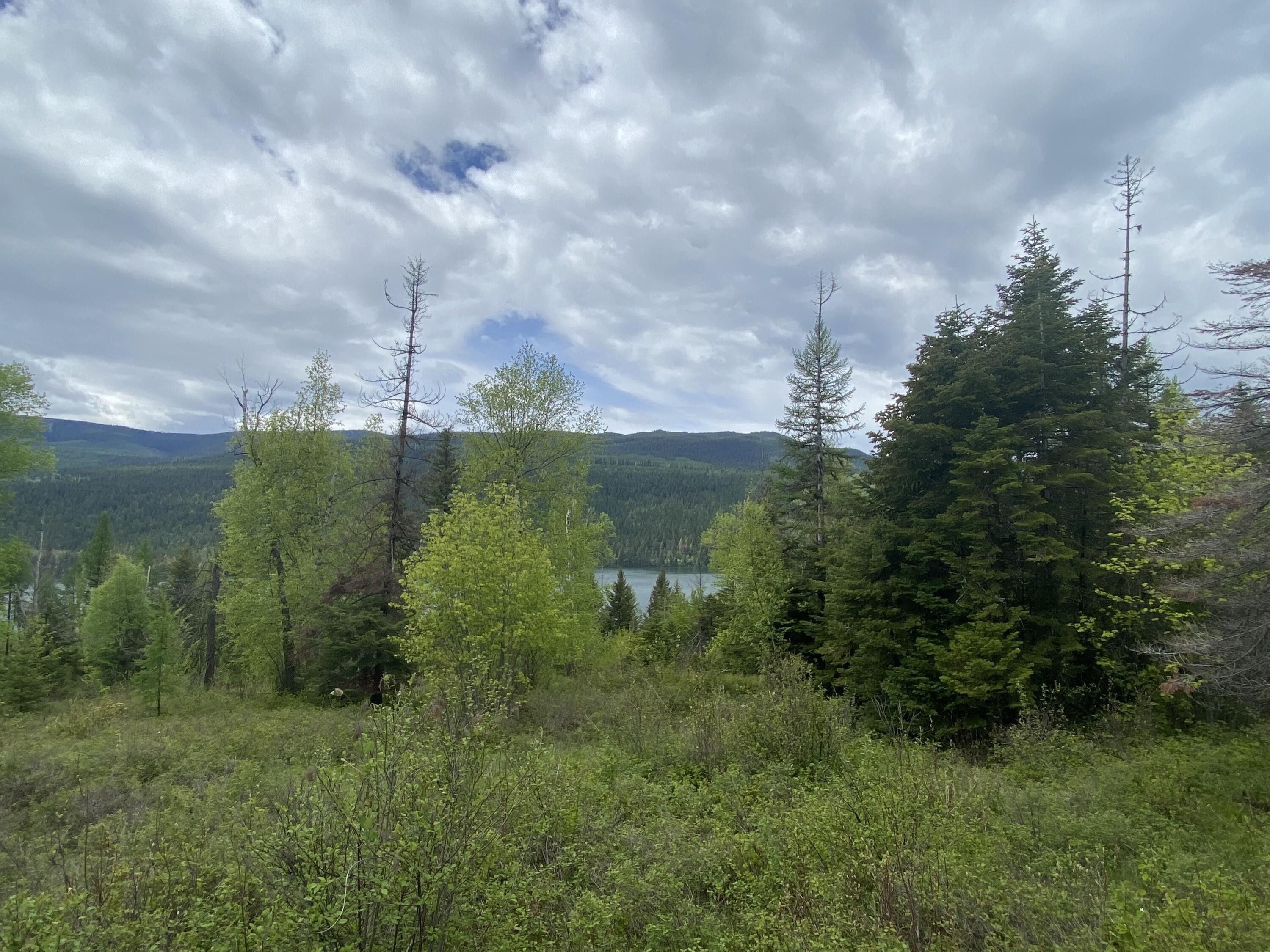 5.25 acres in Lake County, Montana