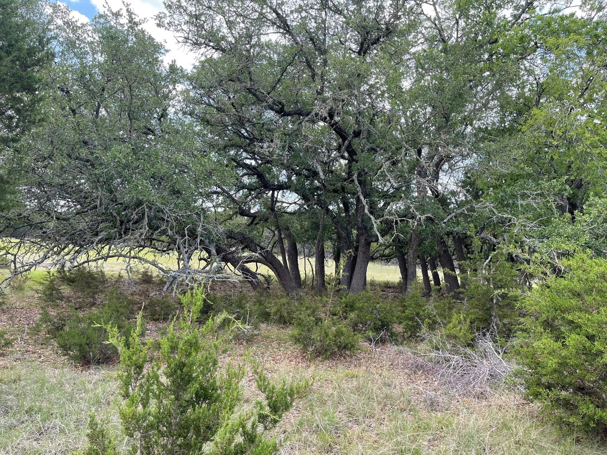 20 acres in County, Texas