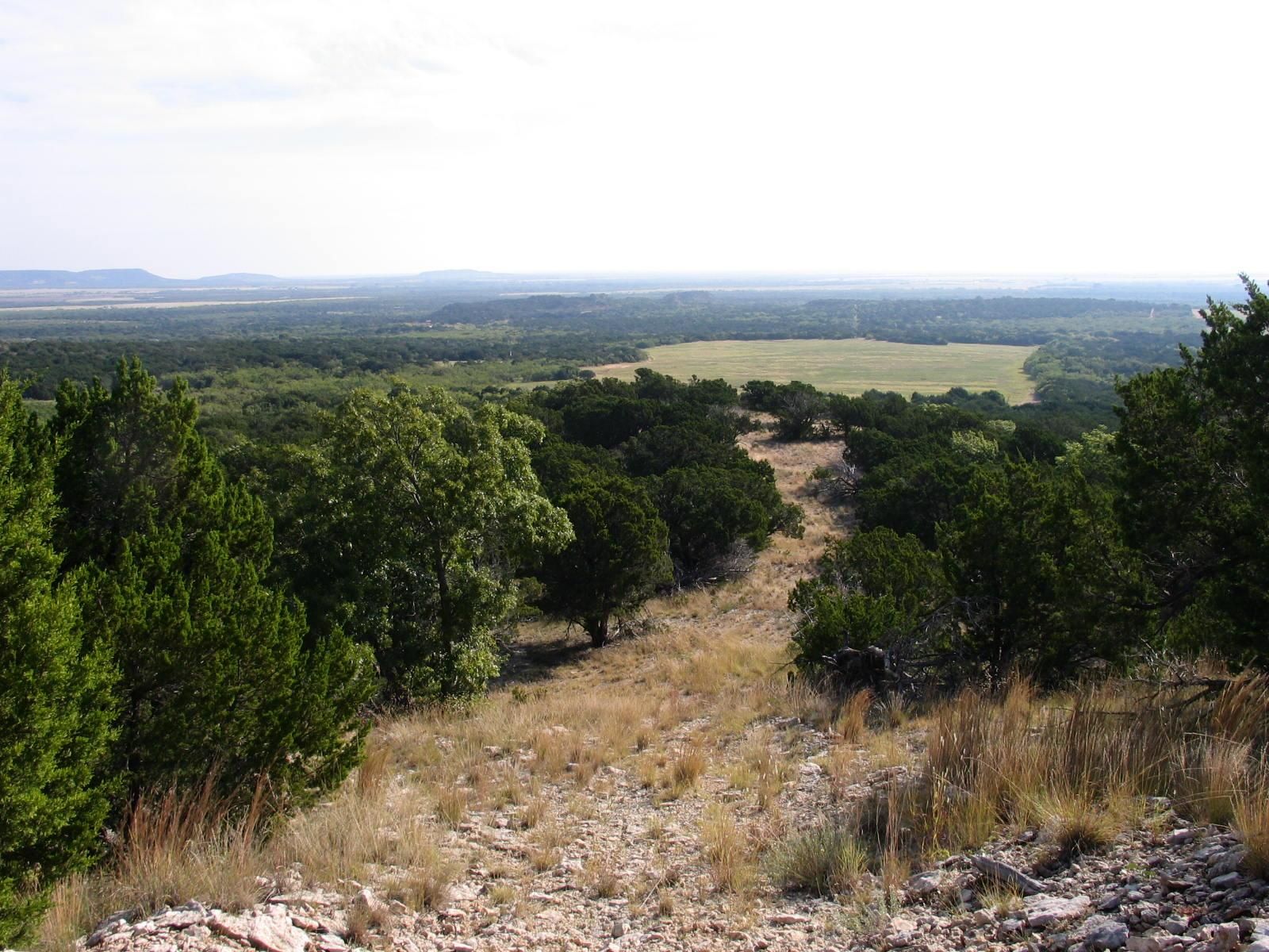 400.87 acres in Nolan County, Texas
