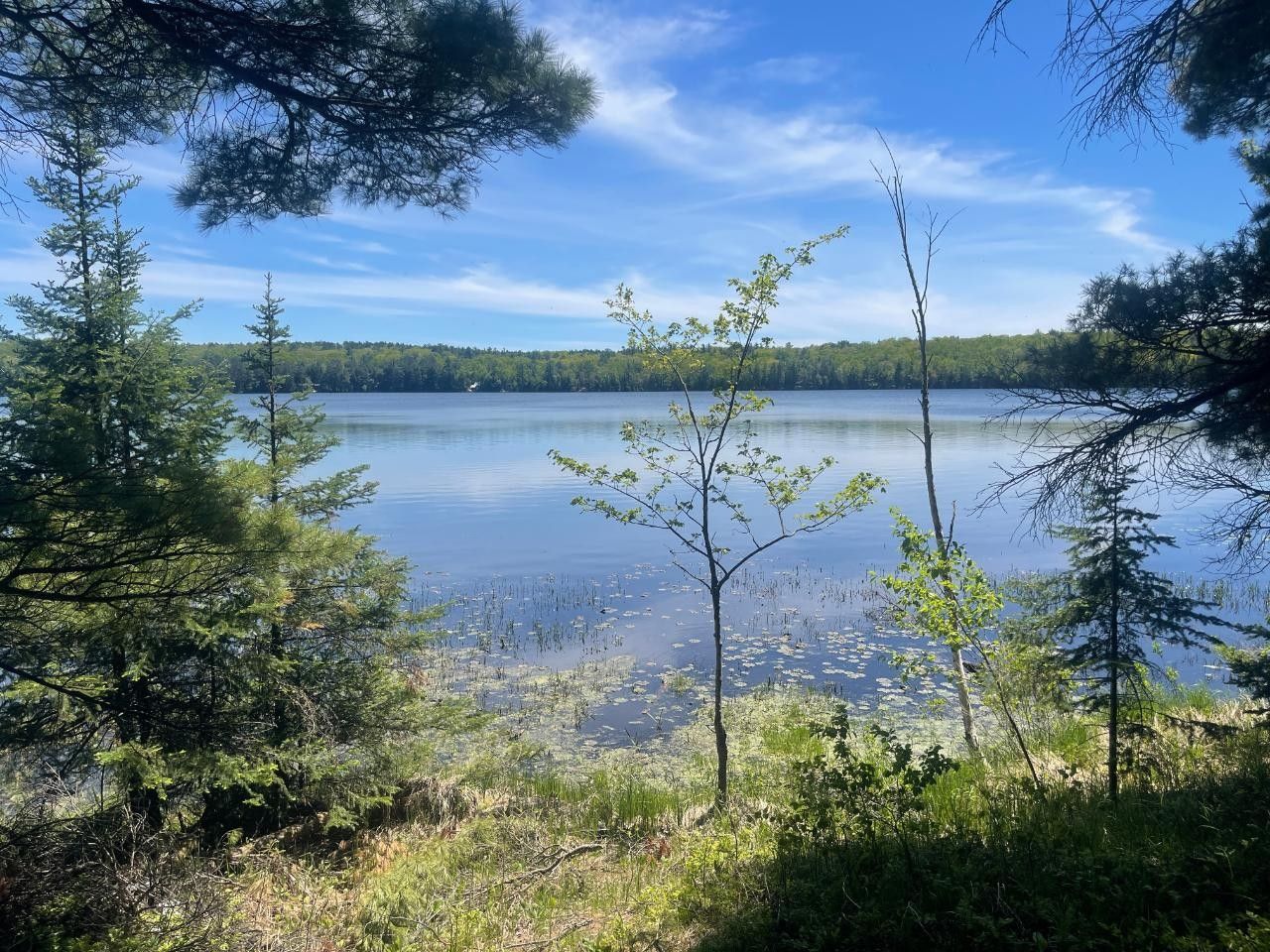 9.14 acres in Oneida County, Wisconsin