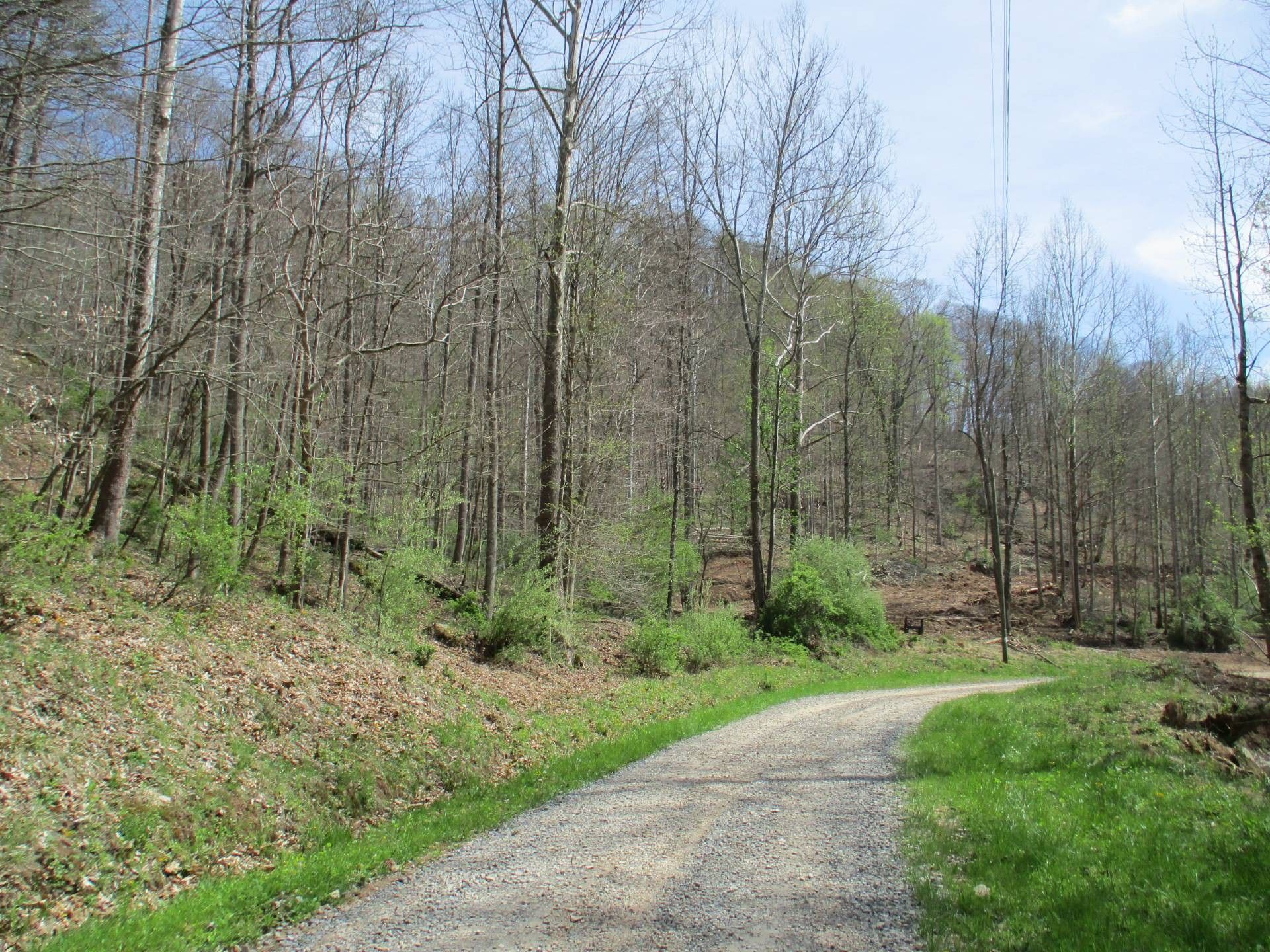 69 acres in Gilmer County, West Virginia