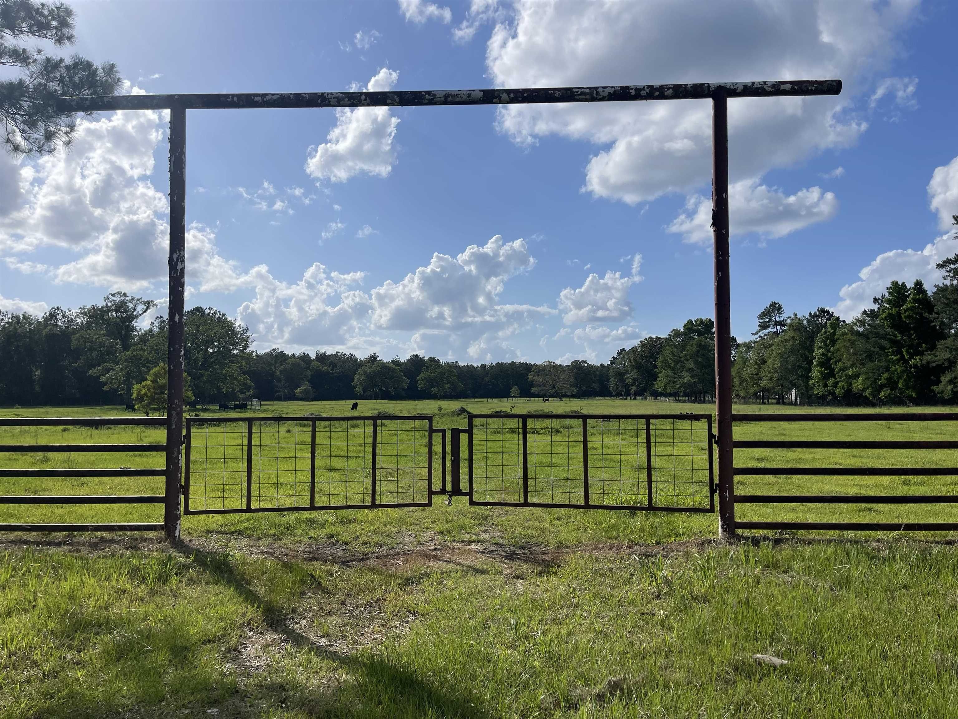 40 acres in Newton County, Texas