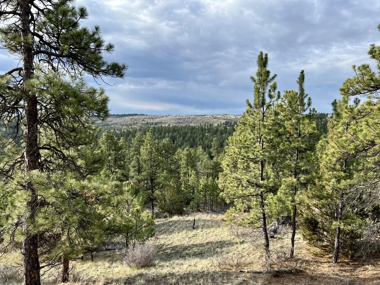 28.25 acres in Musselshell County, Montana