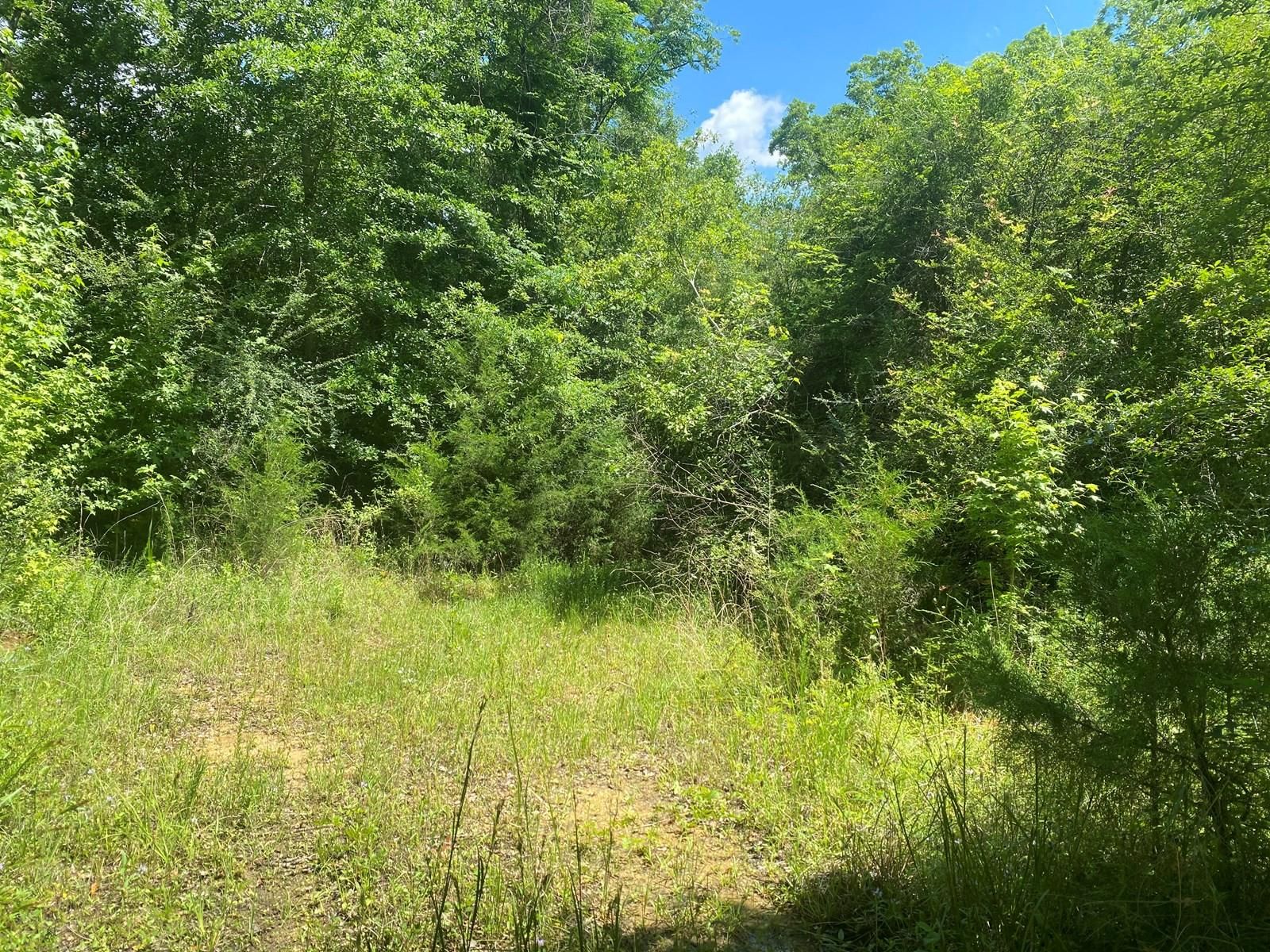 33 acres in Crenshaw County, Alabama