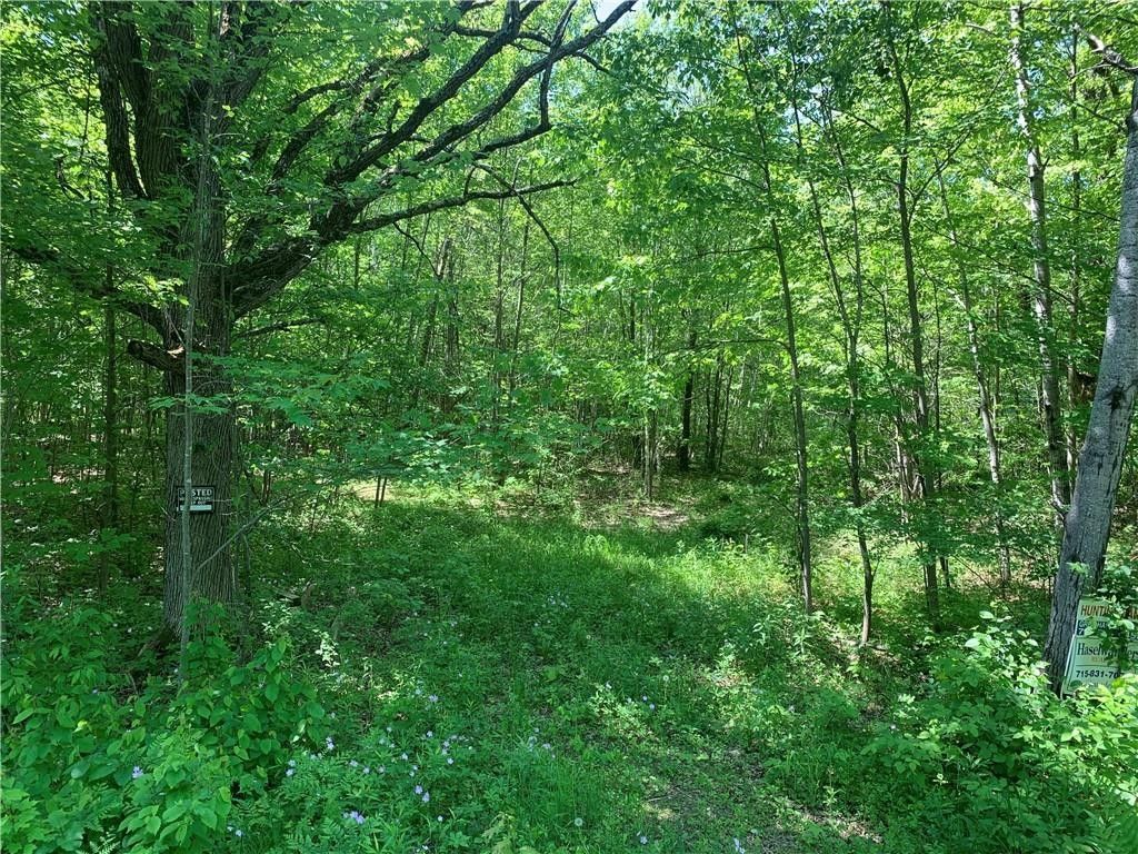 61.78 acres in Eau Claire County, Wisconsin