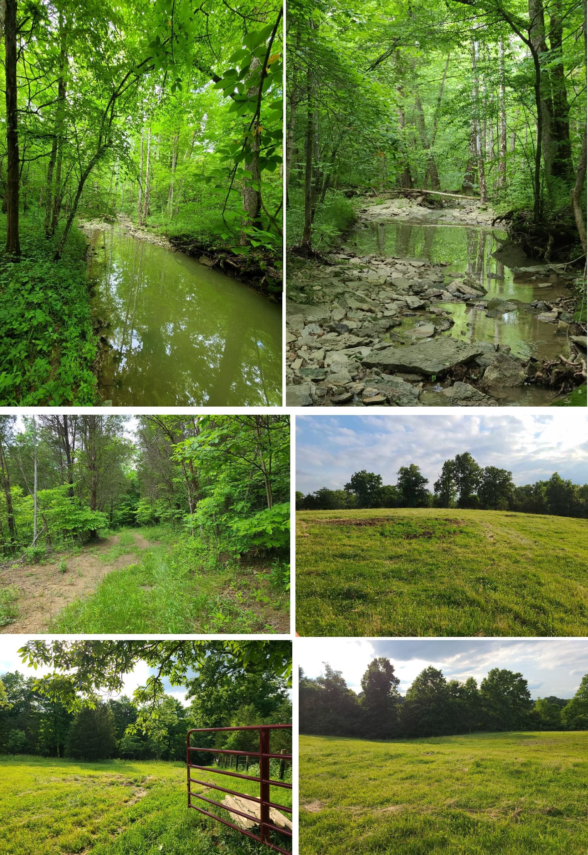 Grant Lane, Tollesboro, KY 41189