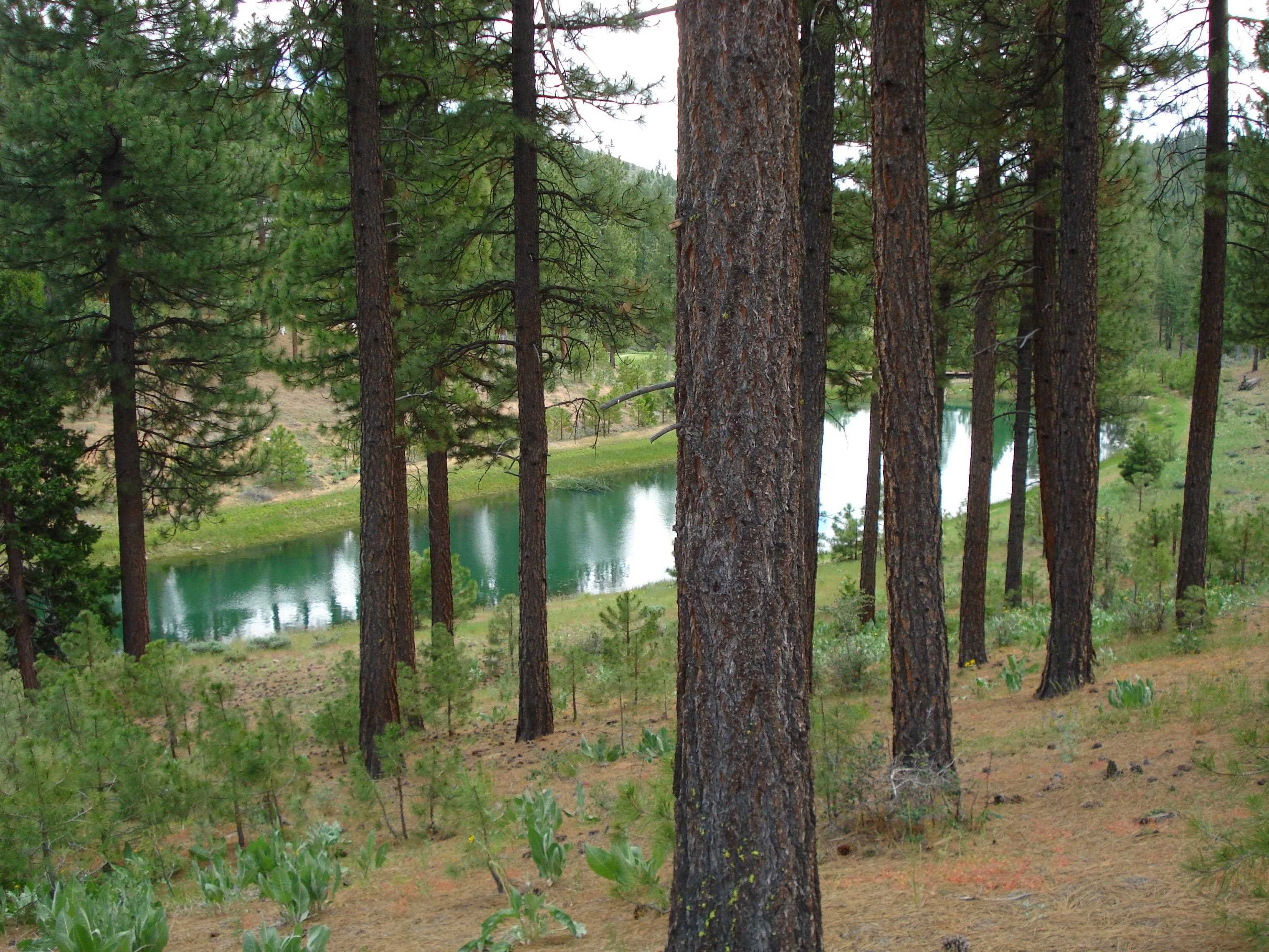 0.52 acres in Plumas County, California