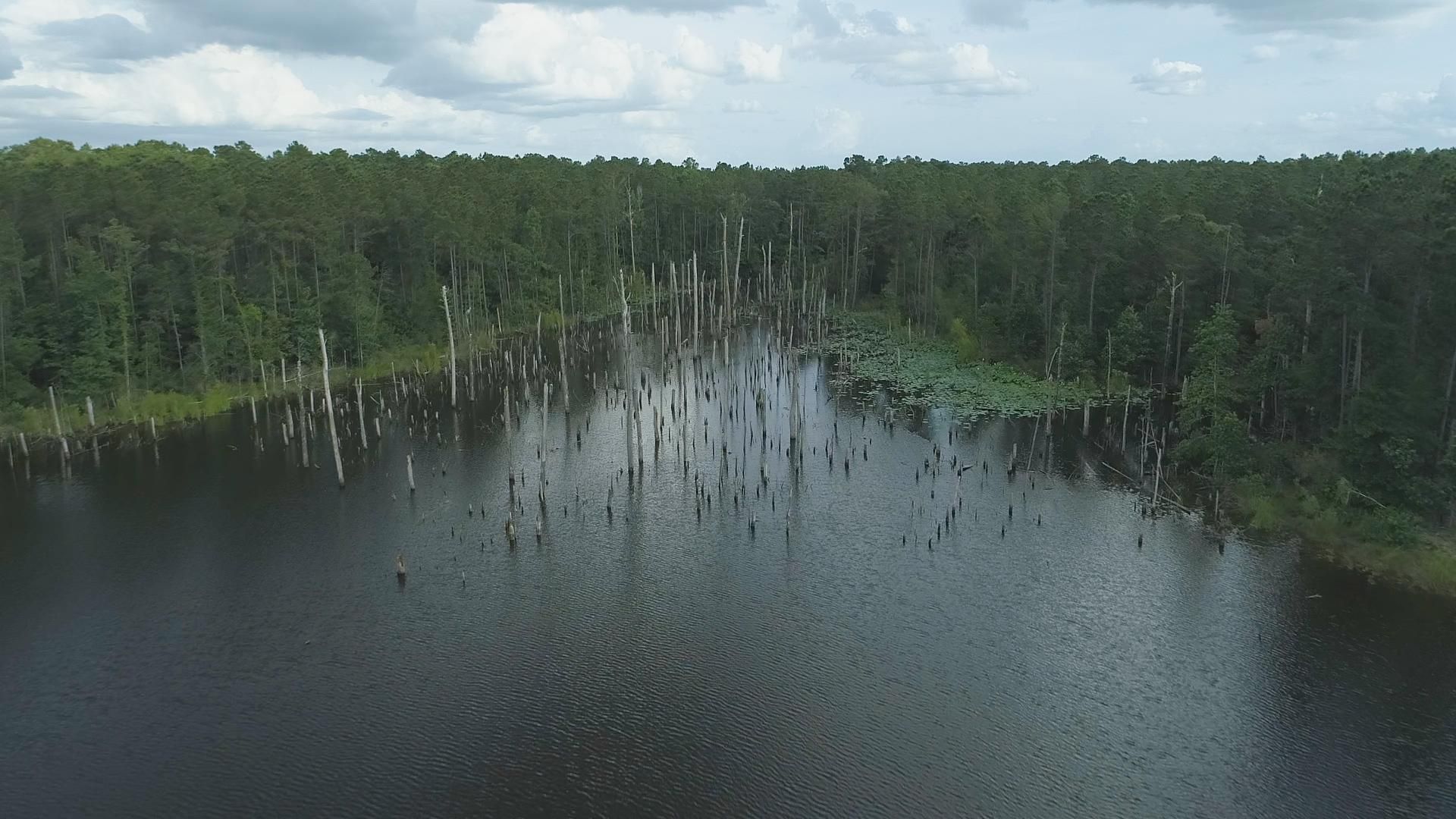 169 acres in Grimes County, Texas