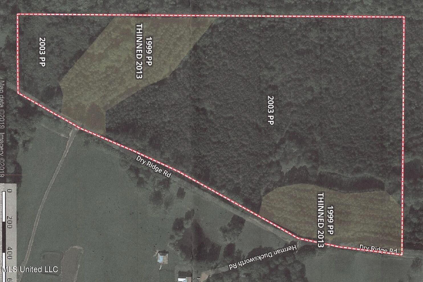 45 acres in Simpson County, Mississippi