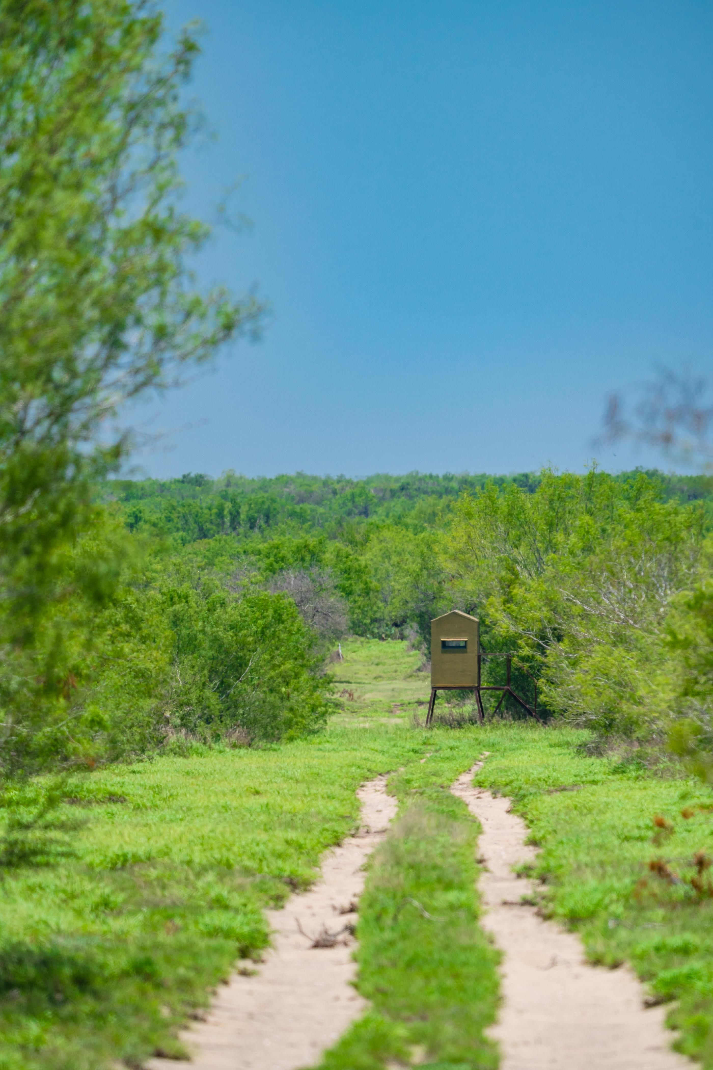 1,136.58 acres in Jim Hogg County, Texas