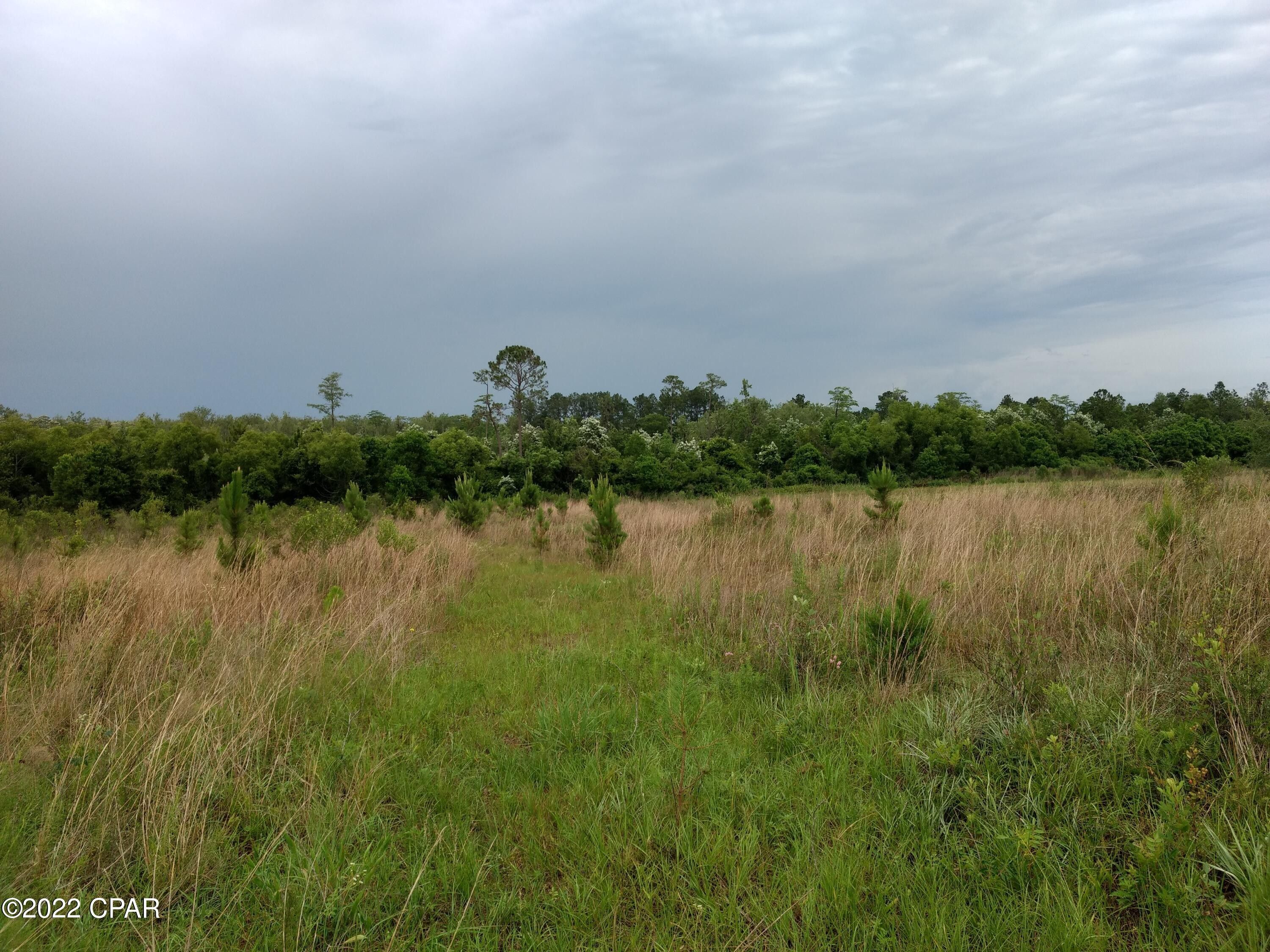 128 acres in Holmes County, Florida