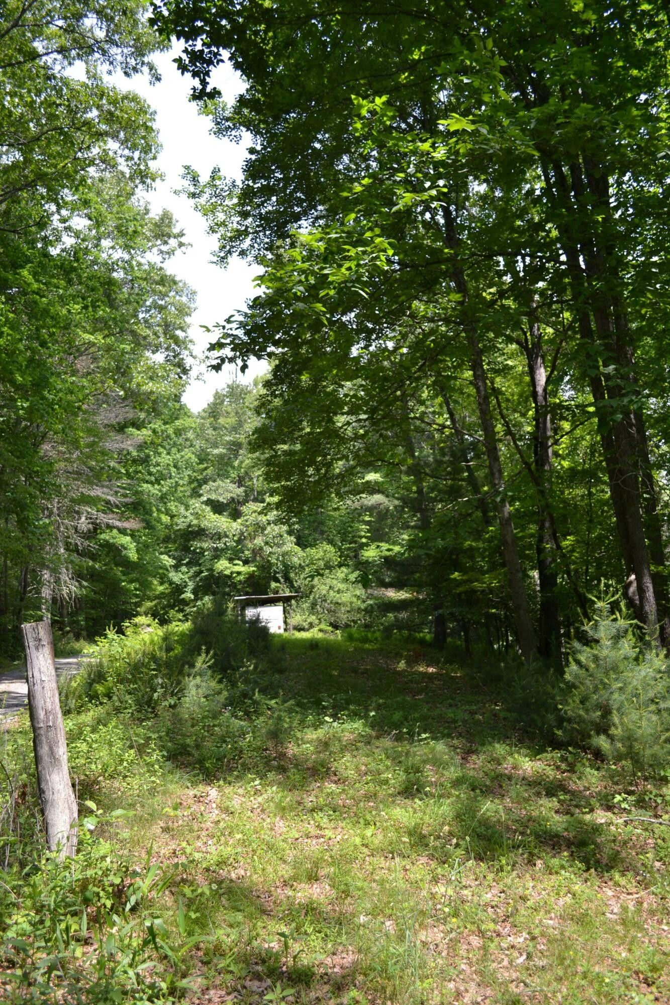 3 acres in Pocahontas County, West Virginia