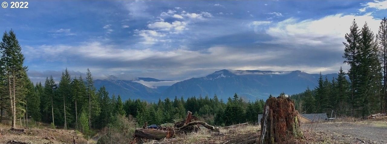 5 acres in Skamania County, Washington