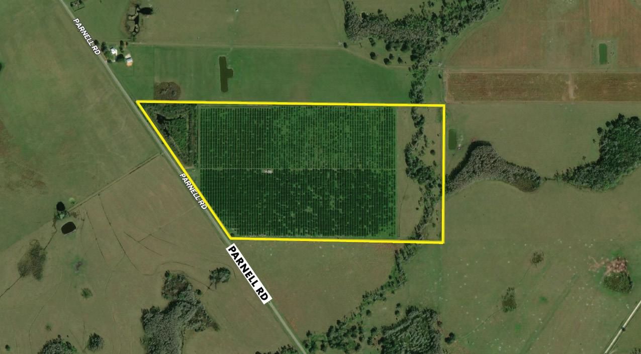 78 acres in Hardee County, Florida