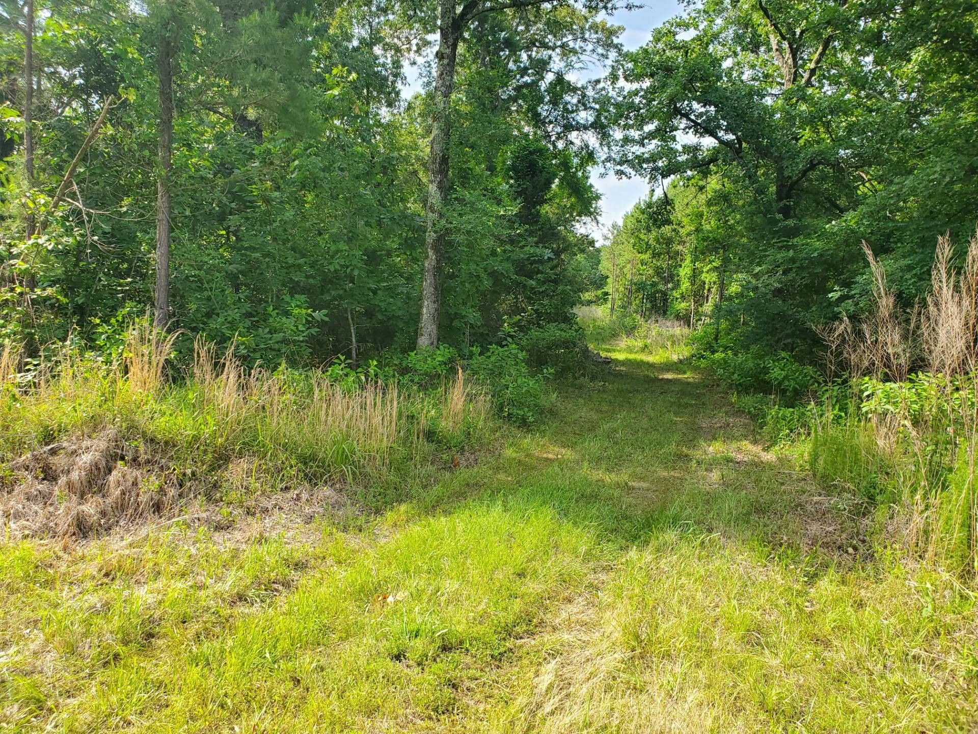 20 acres in Pushmataha County, Oklahoma