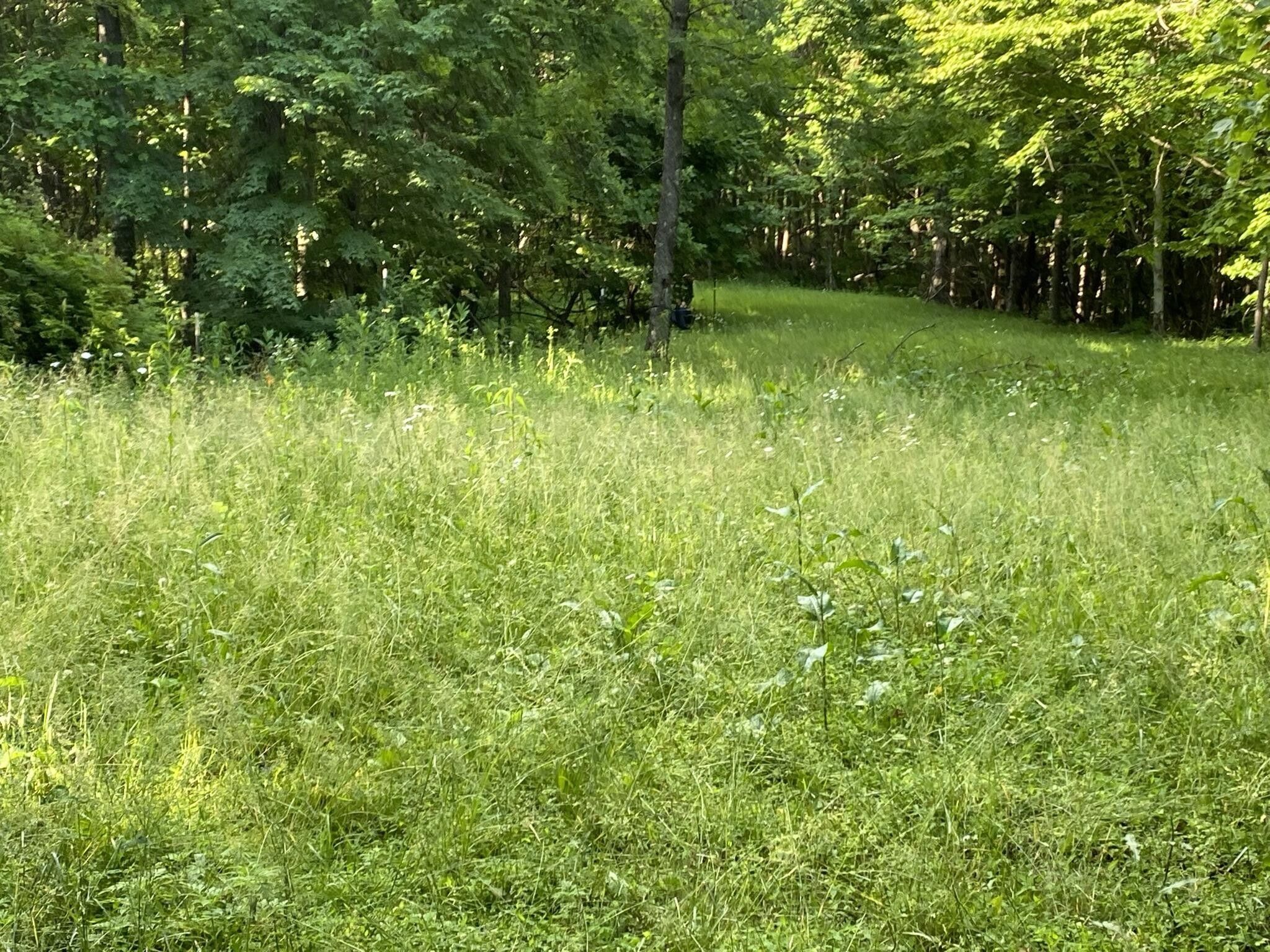 21.45 acres in Dickenson County, Virginia